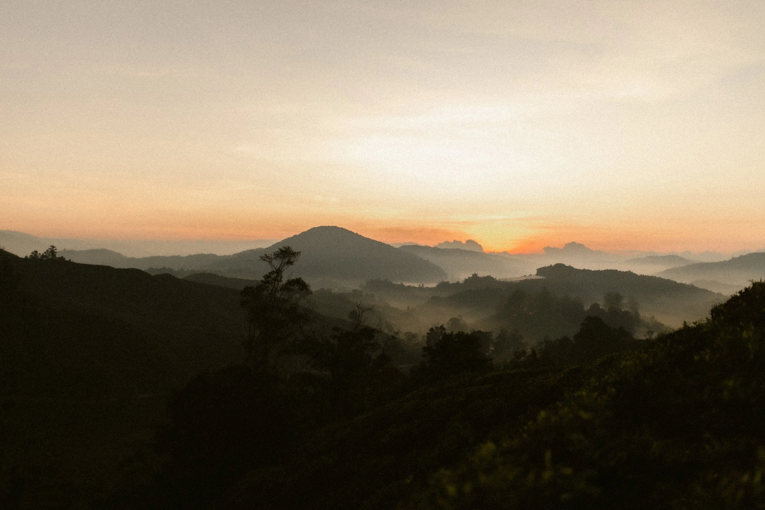 Cameron Highlands Pre Wedding-Ming- Lynn (5).jpg