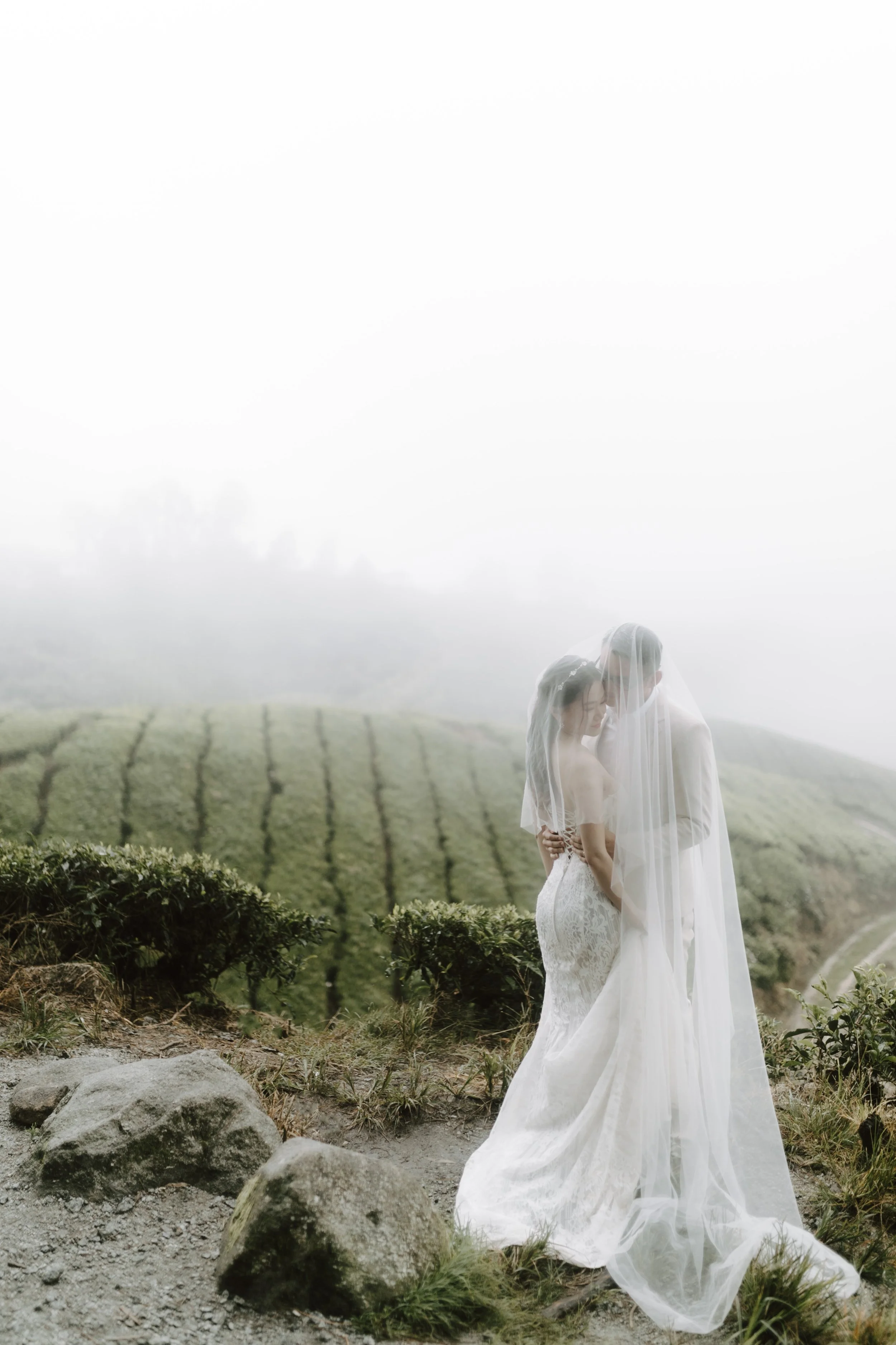 cameron highland pre wedding-johnhophotography (57).jpg
