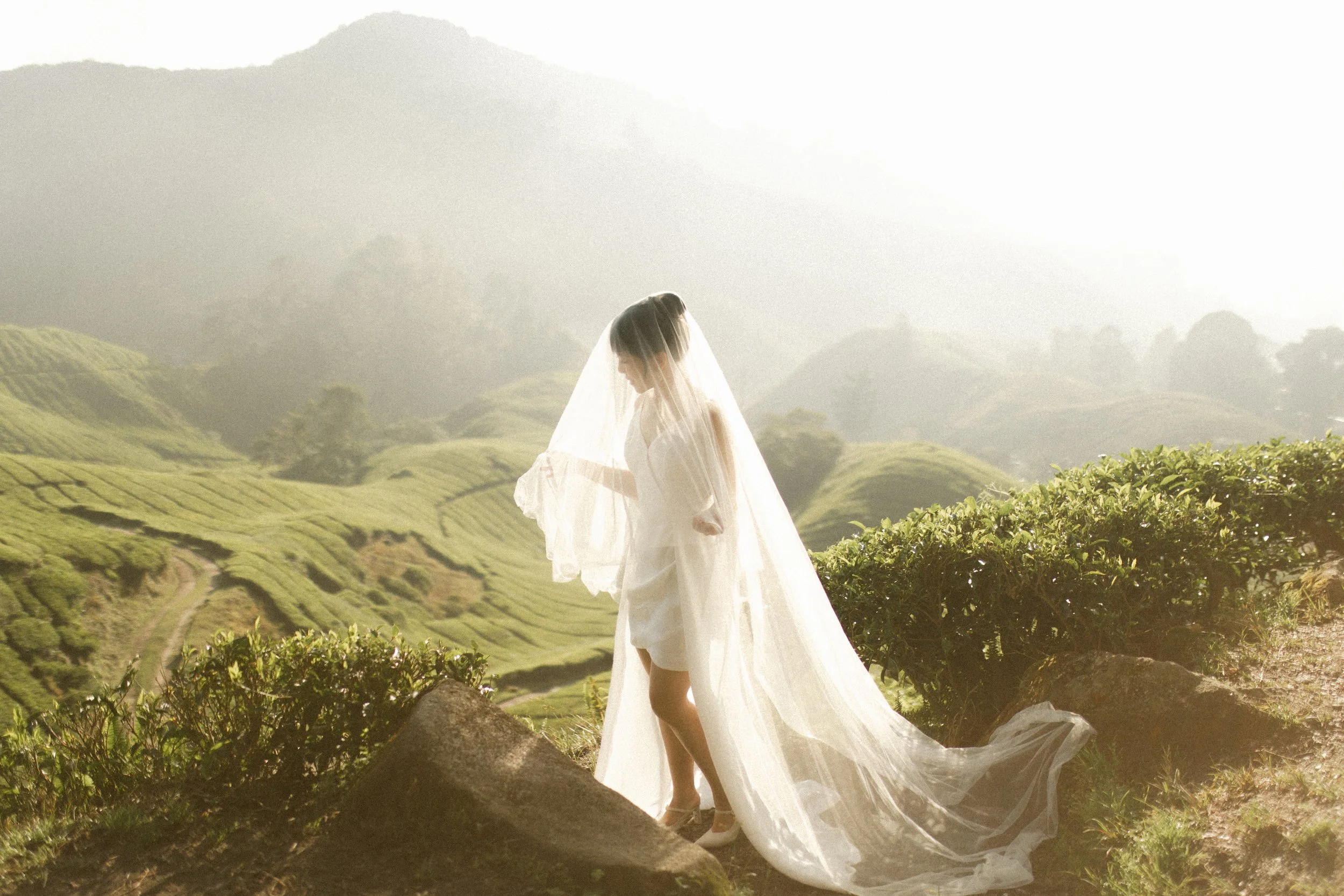 Romantic Pre-Wedding Photoshoot in Cameron Highlands | Ming & Lynn