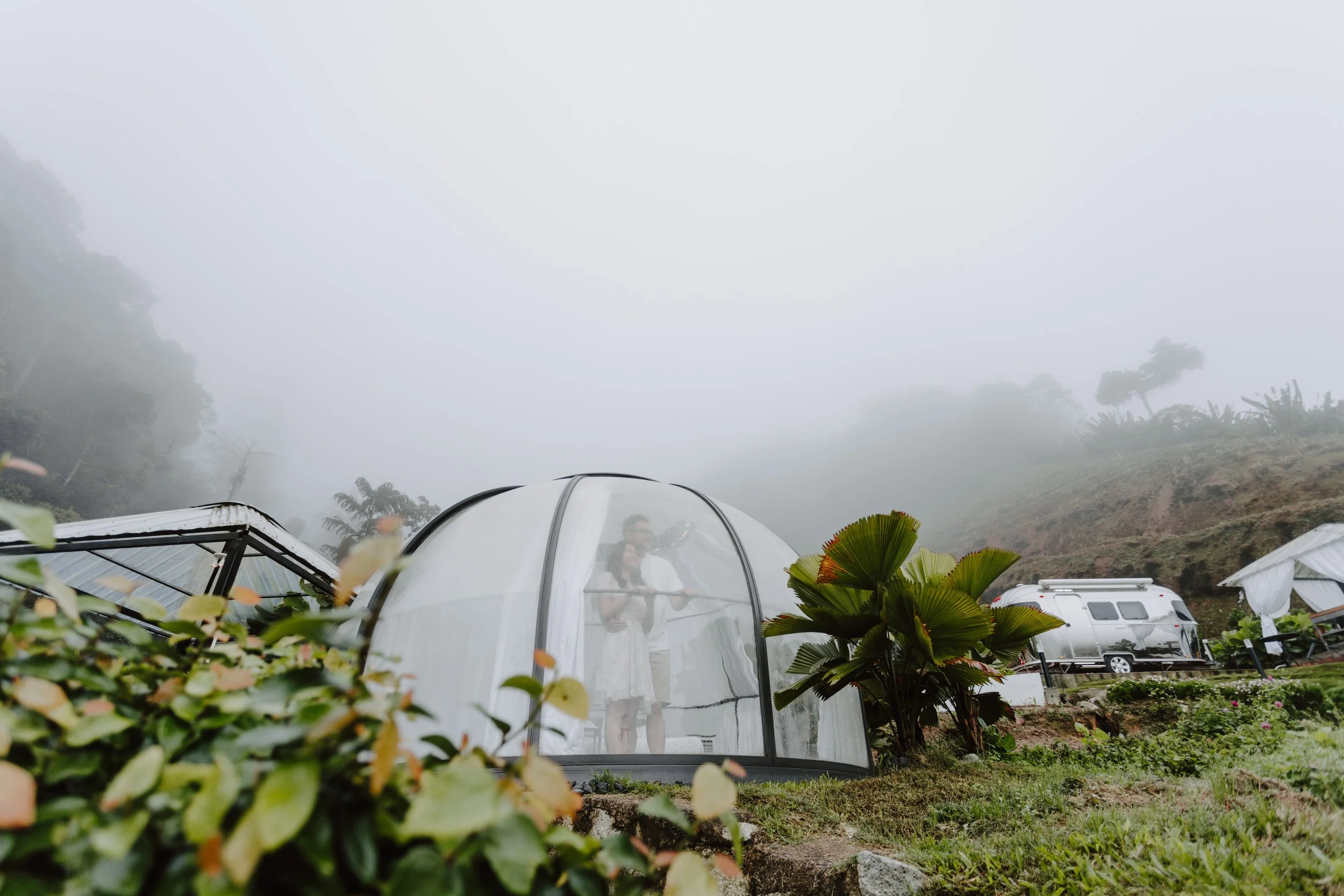 cameron highland pre wedding-johnhophotography (42).jpg