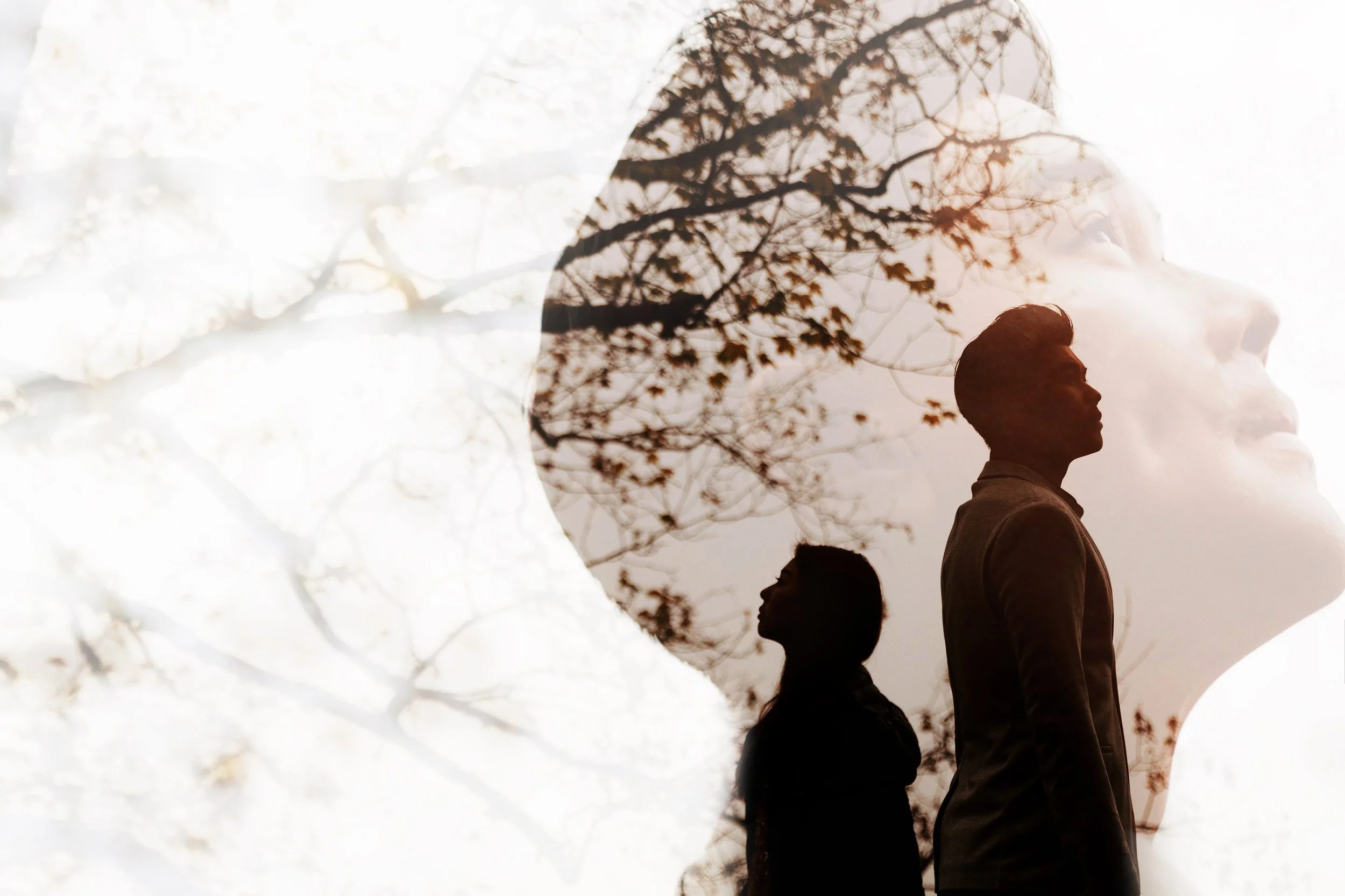 Switzerland Pre Wedding-Daniel-Evelyn (32).jpg