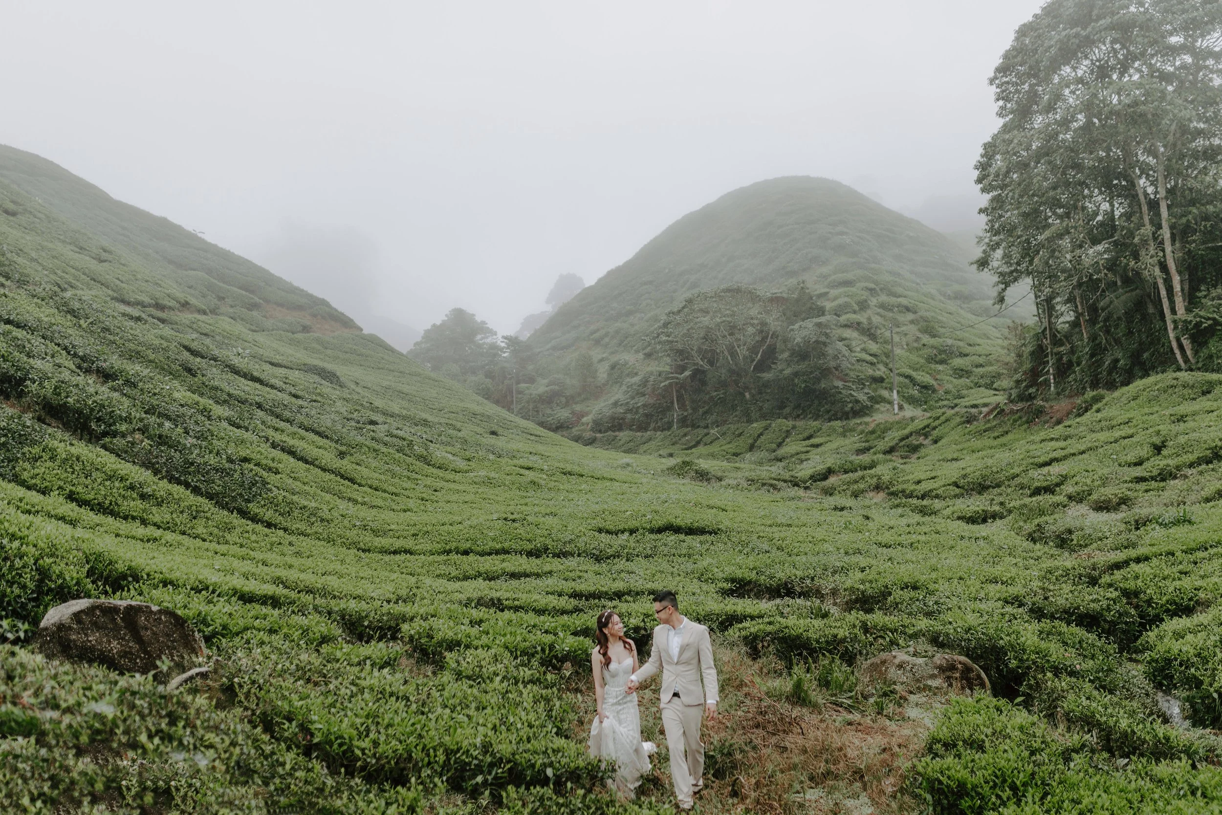cameron highland pre wedding-johnhophotography (29).jpg