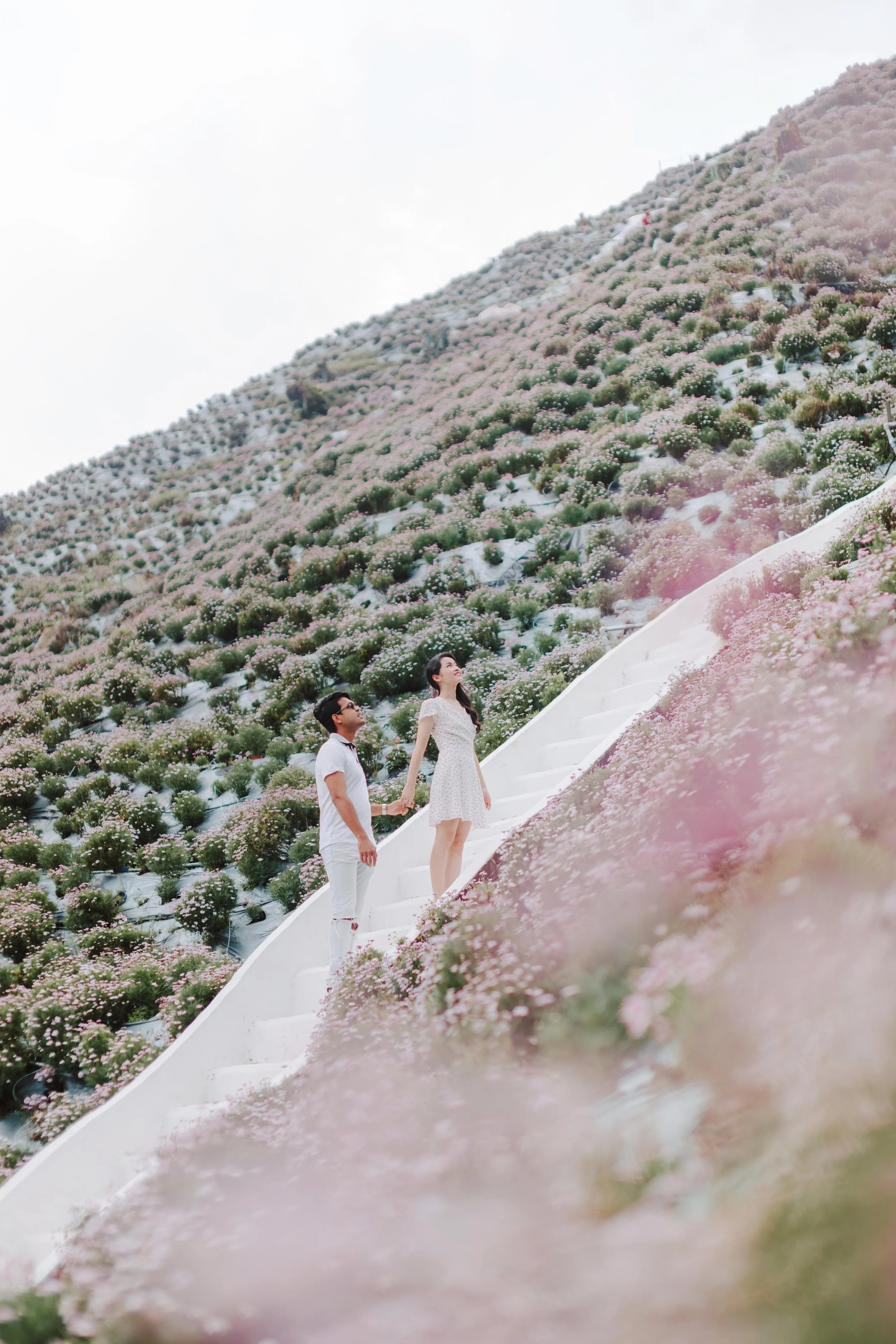 Cameron Highlands Pre Wedding-Rhakjesh + Esther- (67).jpg