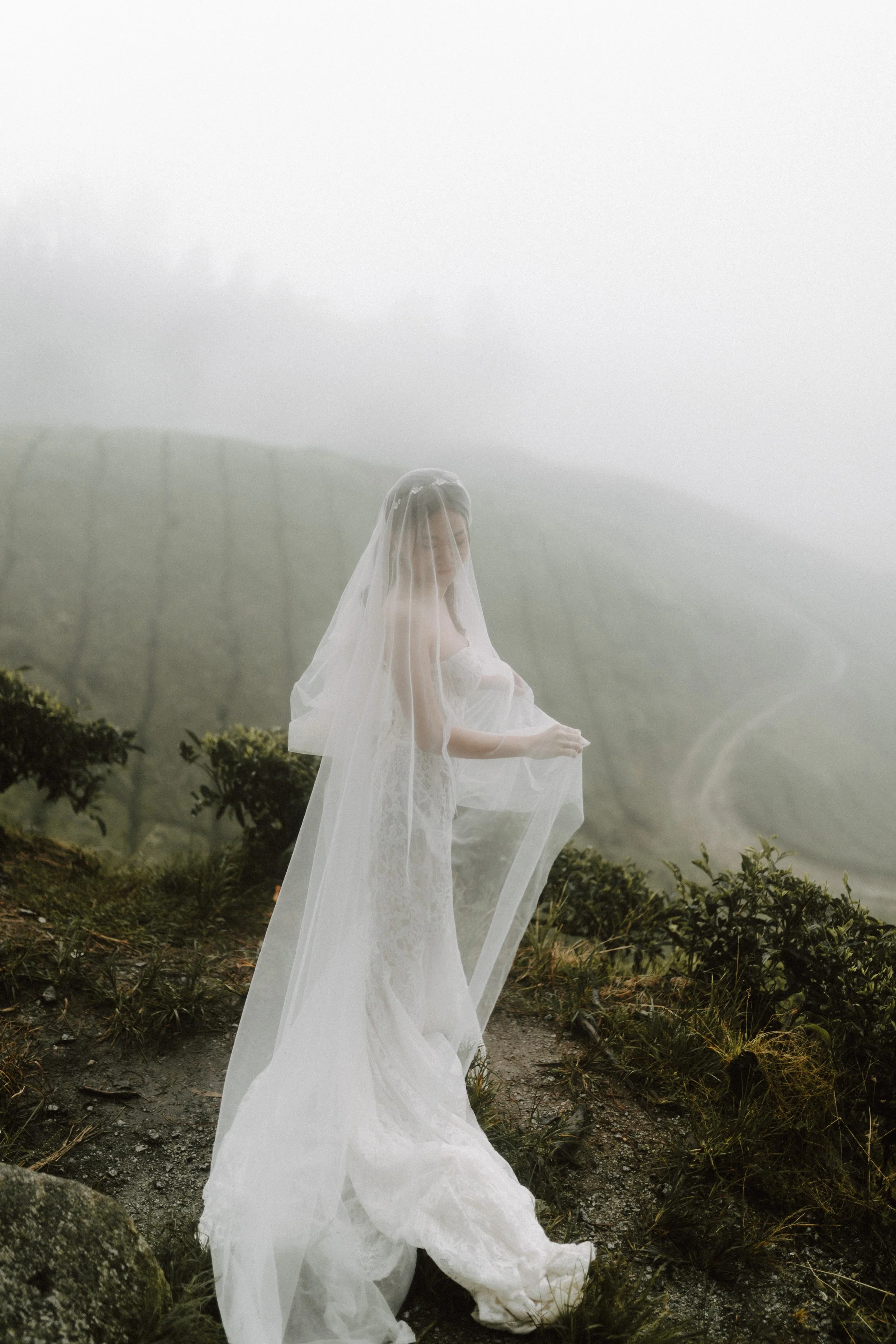 cameron highland pre wedding-johnhophotography (59).jpg