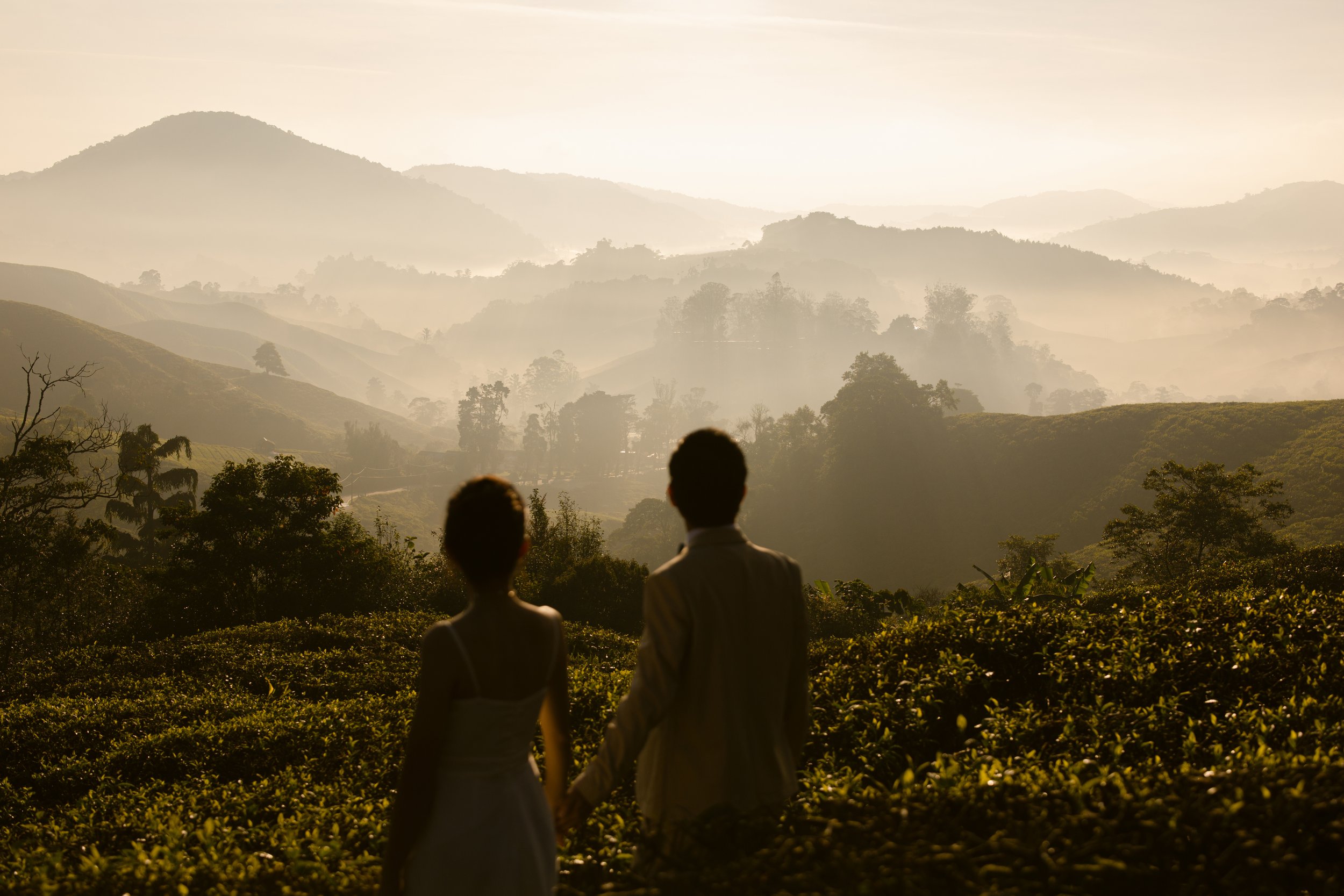 Cameron Highlands Pre Wedding-Ming- Lynn (15).jpg