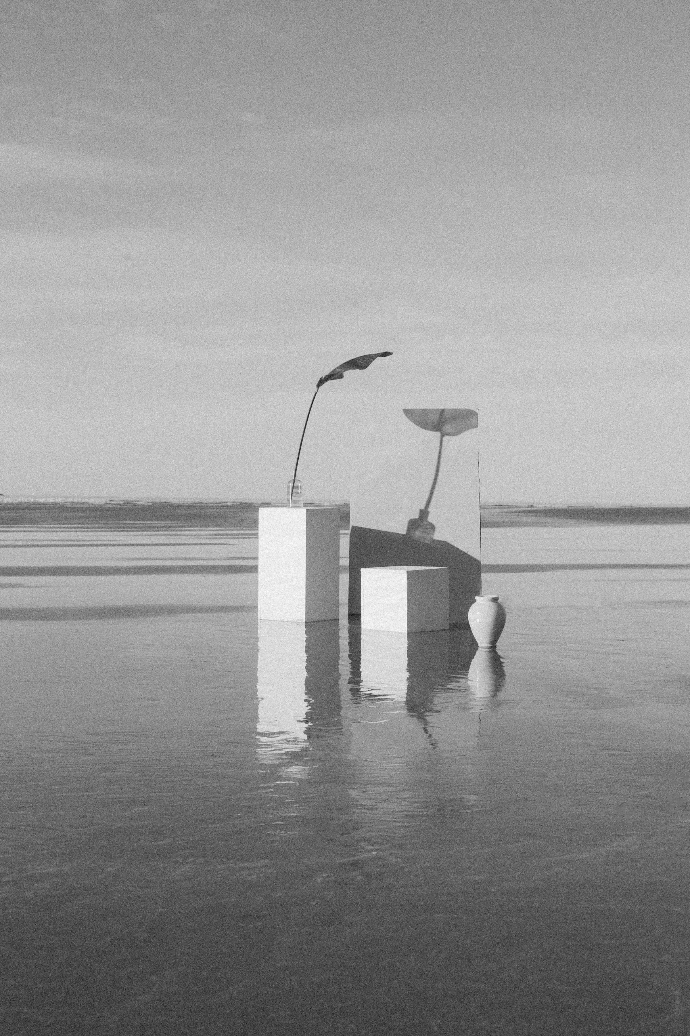 Executive Presence Coach and Leadership Advisor for high-growth CEOs.