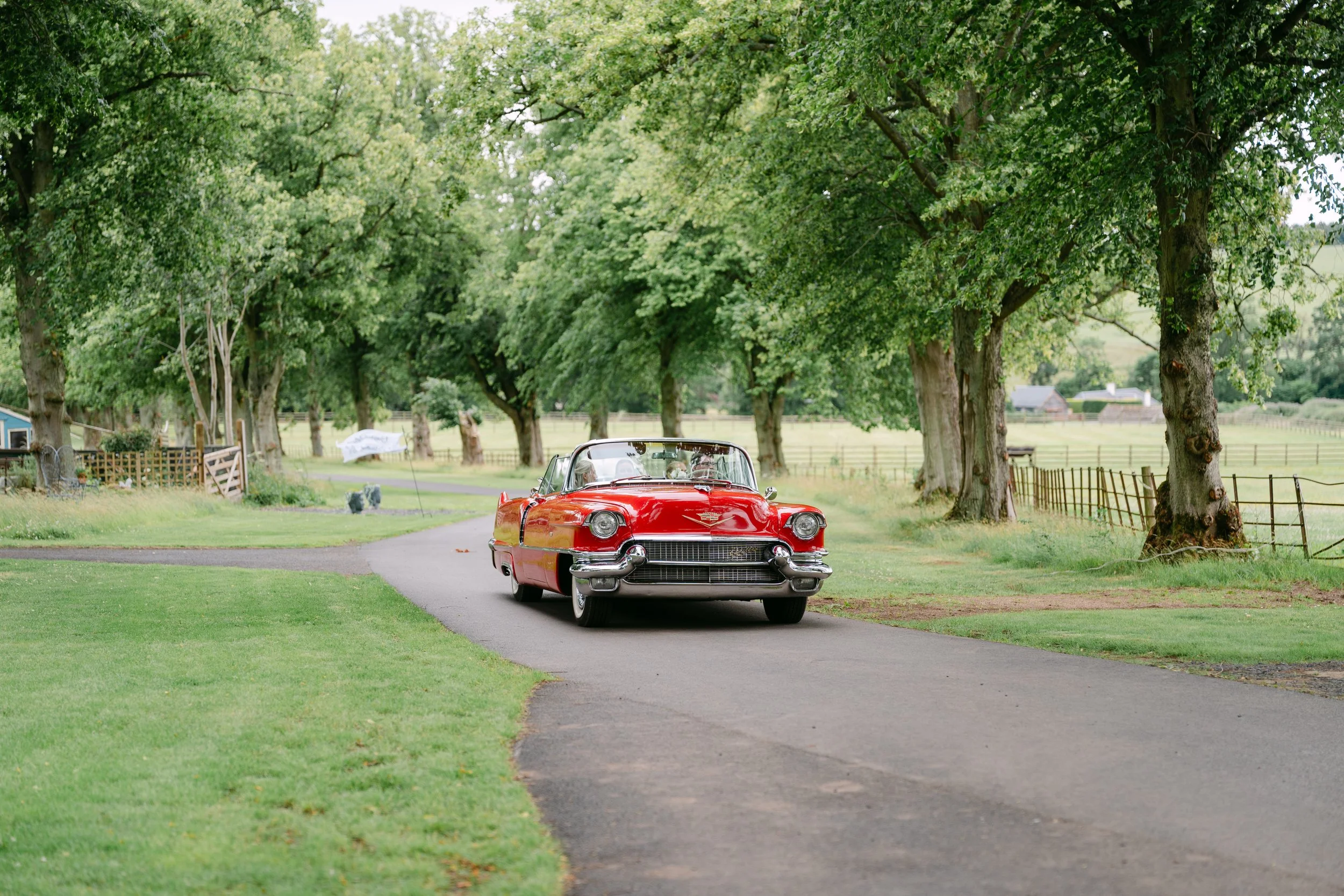 Jodie  Harry - Wedding Day-190.jpg