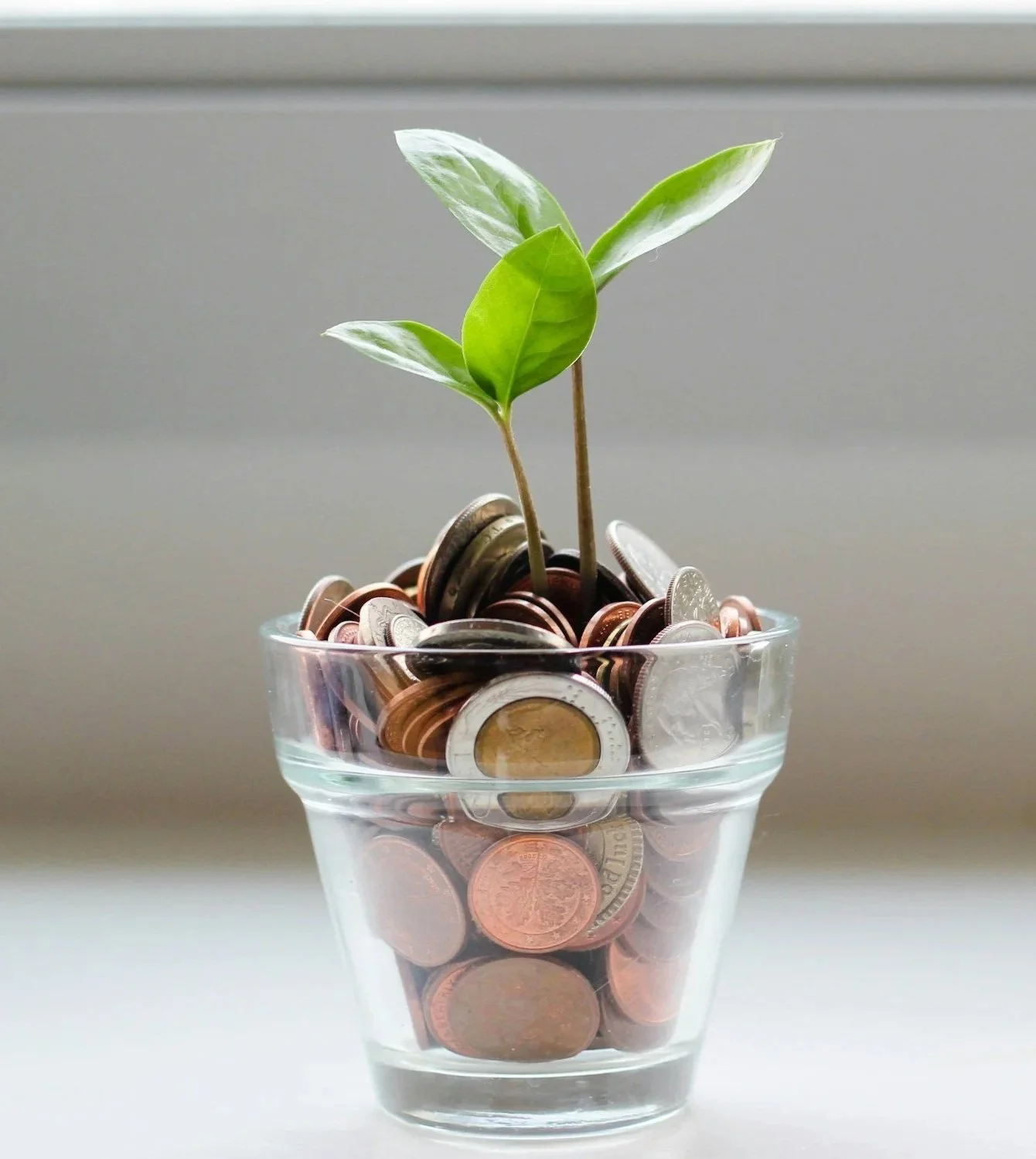A glass pot filled with coins, with two green plant sprouting from the coins.