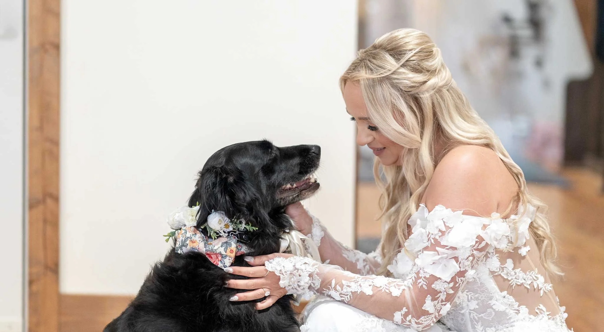 bride with dog.jpg