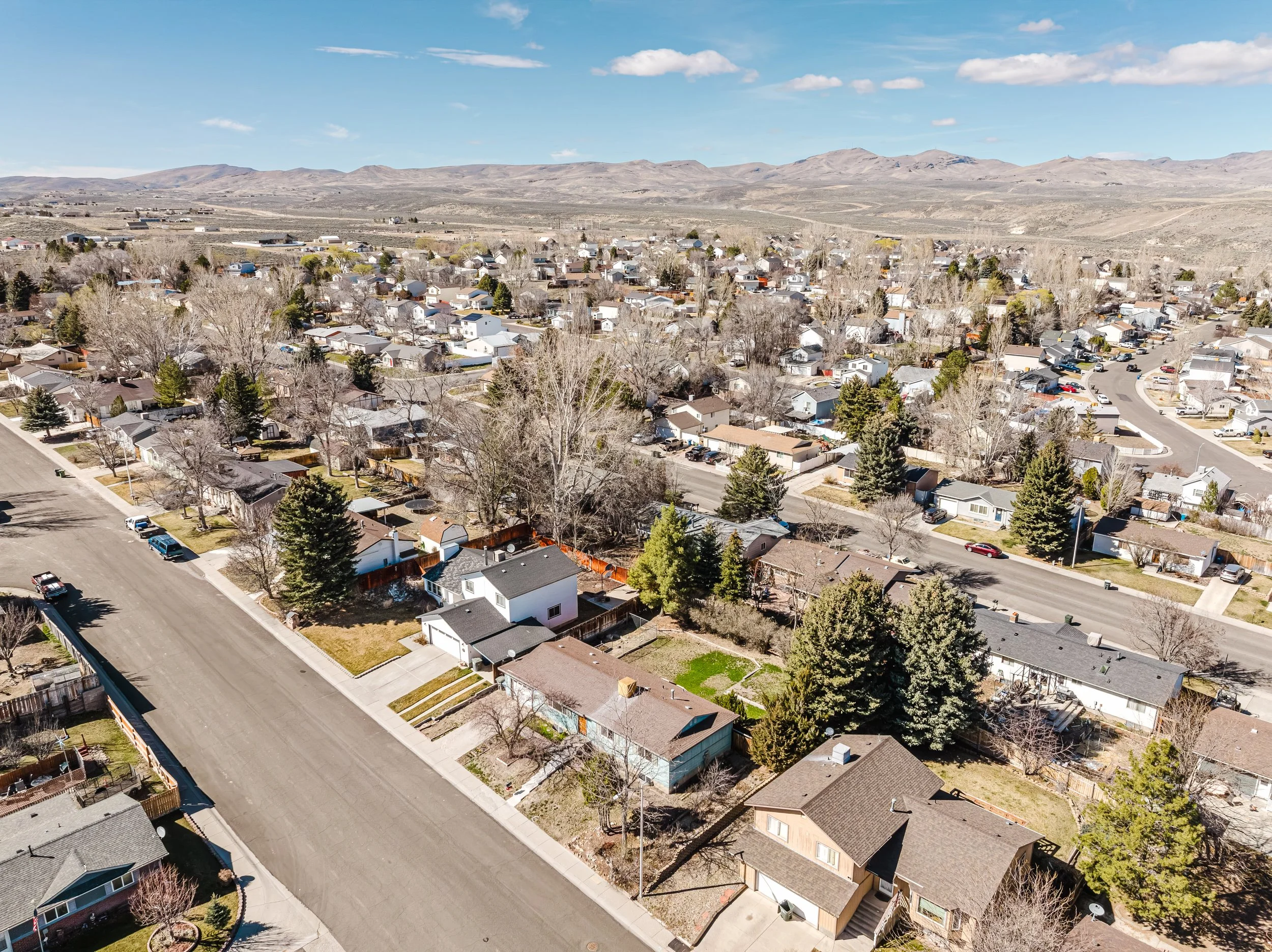 Carson City Nevada homes for sale — senior real estate specialist Lisa Williams