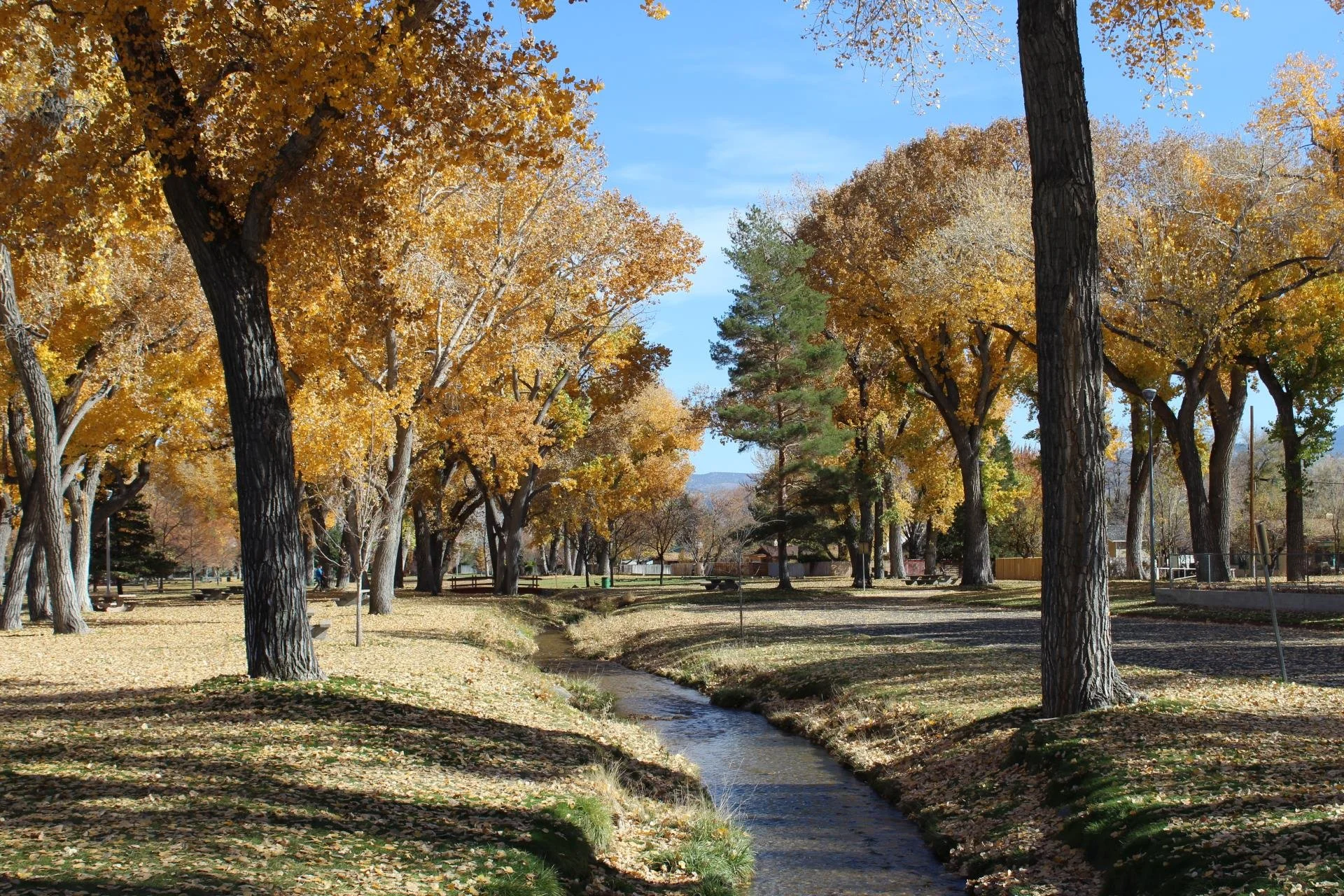 An image of mill's park in the Empire Ranch neighborhood. Carson City Real Estate, Lisa Williams