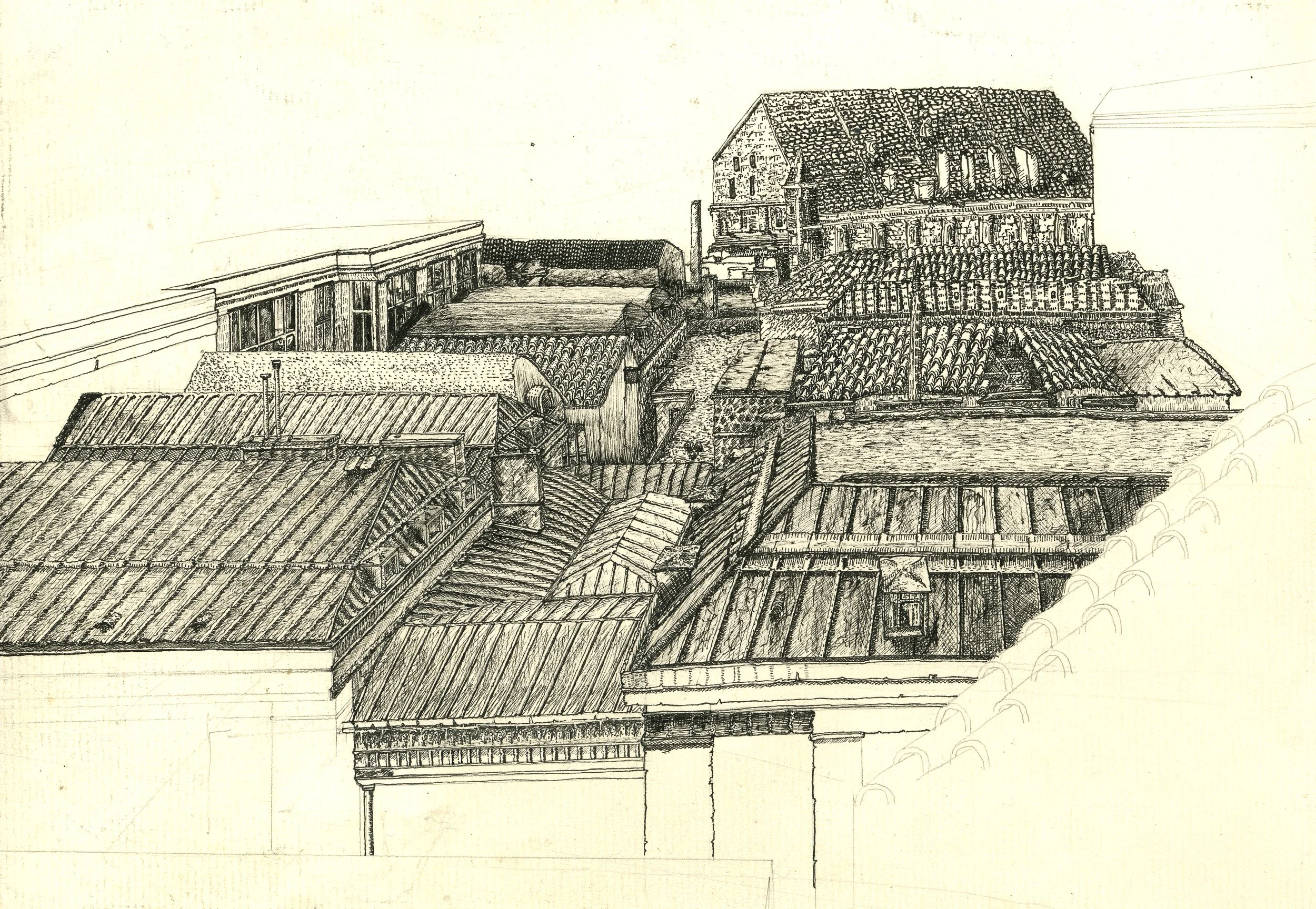 Rooftops.jpg