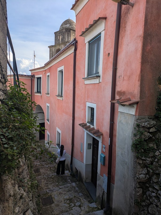 A narrow cobblestone alleyway with a pink building on one side and greenery on the other. A person is walking down the alley, and there is a historic church with a dome visible in the background.