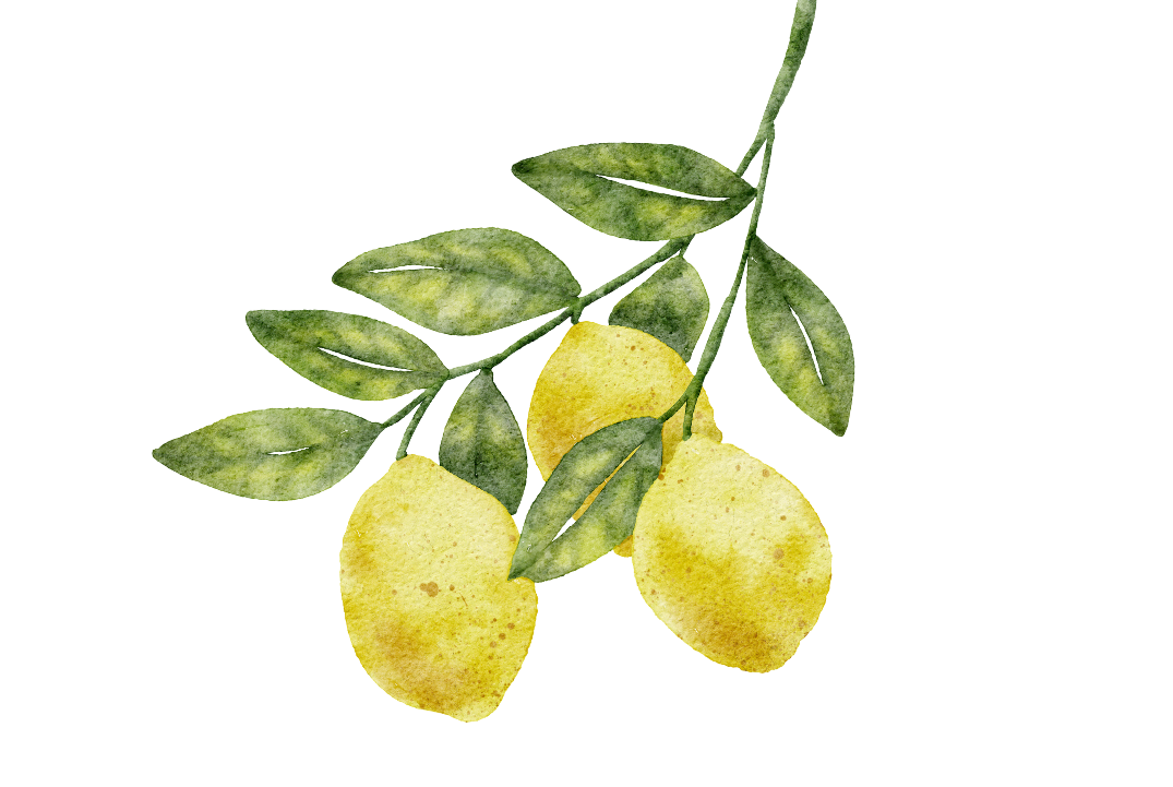 Watercolor illustration of a lemon branch with three lemons and green leaves.