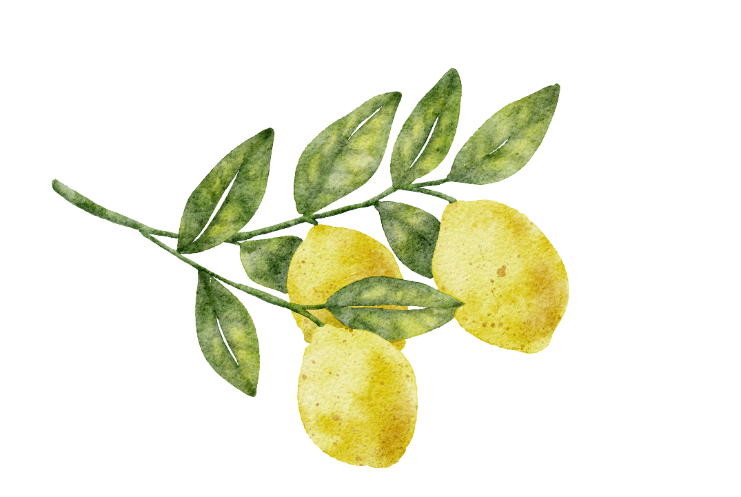 Watercolor illustration of a lemon branch with three yellow lemons and green leaves.