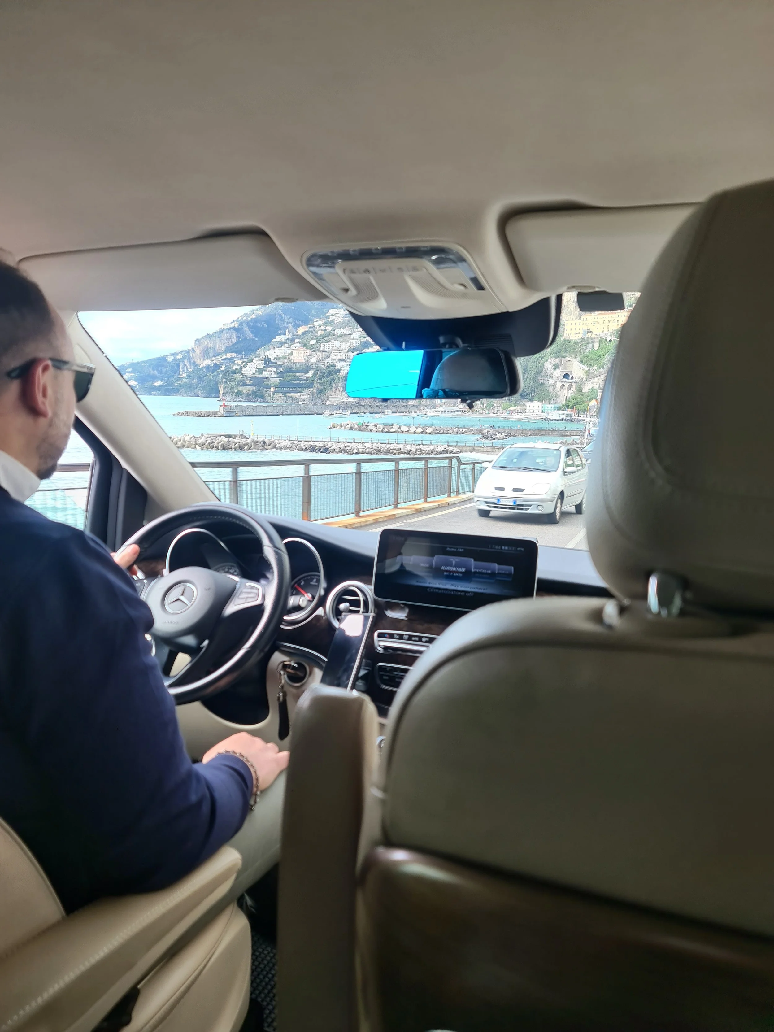 Open door leading to a balcony with pink flowering bushes and a cloudy sky outside.