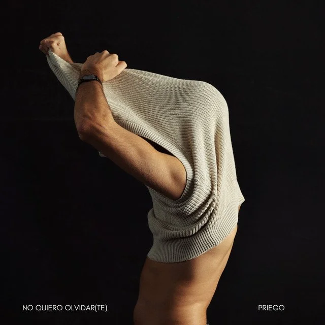 no quiero olvidar(te) - Priego
