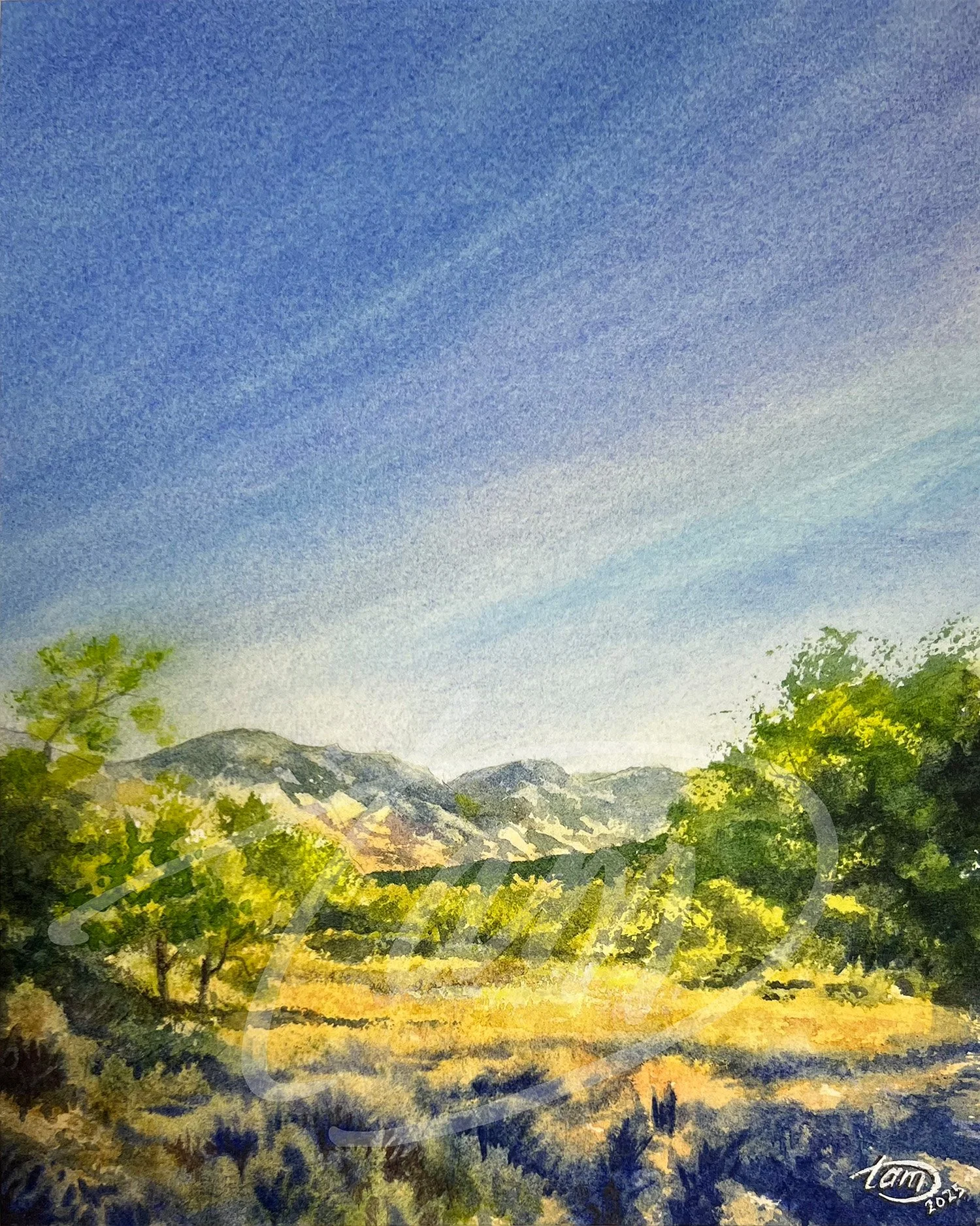   Late Day at the Meadow   – This late-day meadow scene was painted during an exclusive fall plein air event in the mountains above Morgan, Utah. With the sun still hanging low, long shadows stretch across the grass, darkening the foreground as soft 