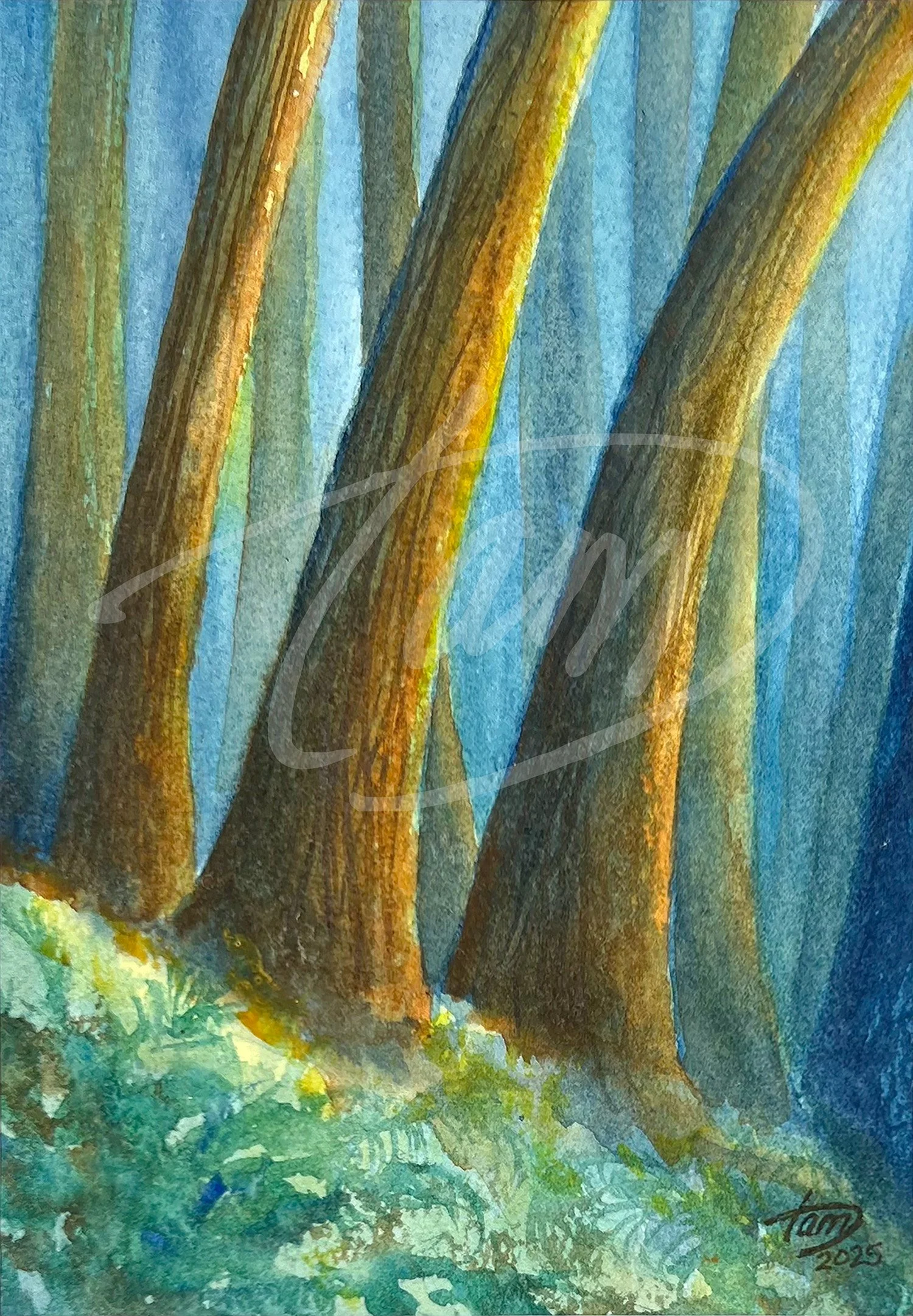   Enchanted Redwood Forest   lives in a place just shy of reality. It imagines the forest not as it is, but as it feels—softened, luminous, and slightly unreal. At the base of the trees, mist blurs certainty and scale, and a quiet light slips in from