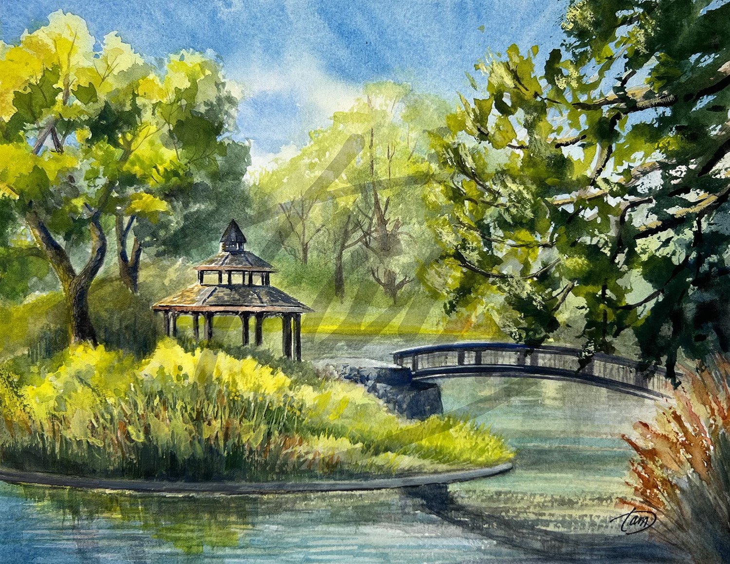   Liberty Park Pond   – Morning light gently kisses Liberty Park, gilding the treetops while deep shadows settle across the water. Beneath the canopy, the gazebo and bridge emerge quietly, their reflections wavering on the cool surface as the first l
