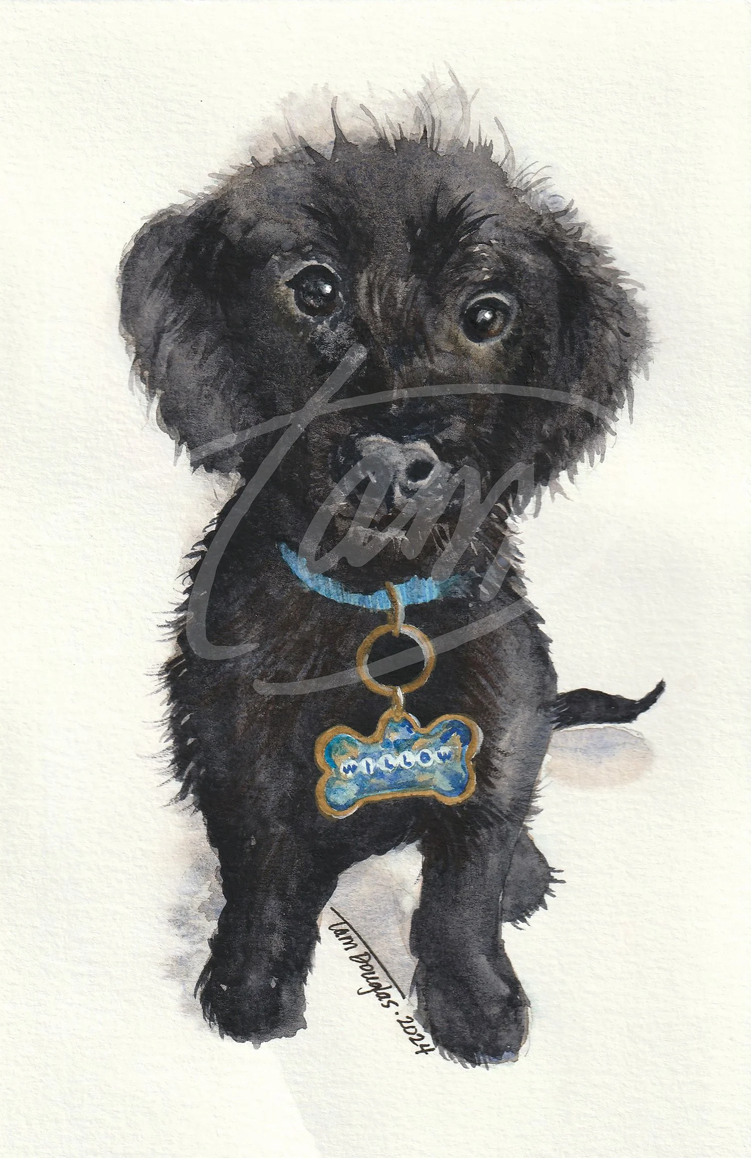    Willow    sits, all puppy energy captured in one alert, curious gaze. Alert, body poised, she looks straight at you—sweet, open, and entirely present. Every inch radiates the cautious confidence and wonder of early discovery, a small being ready t