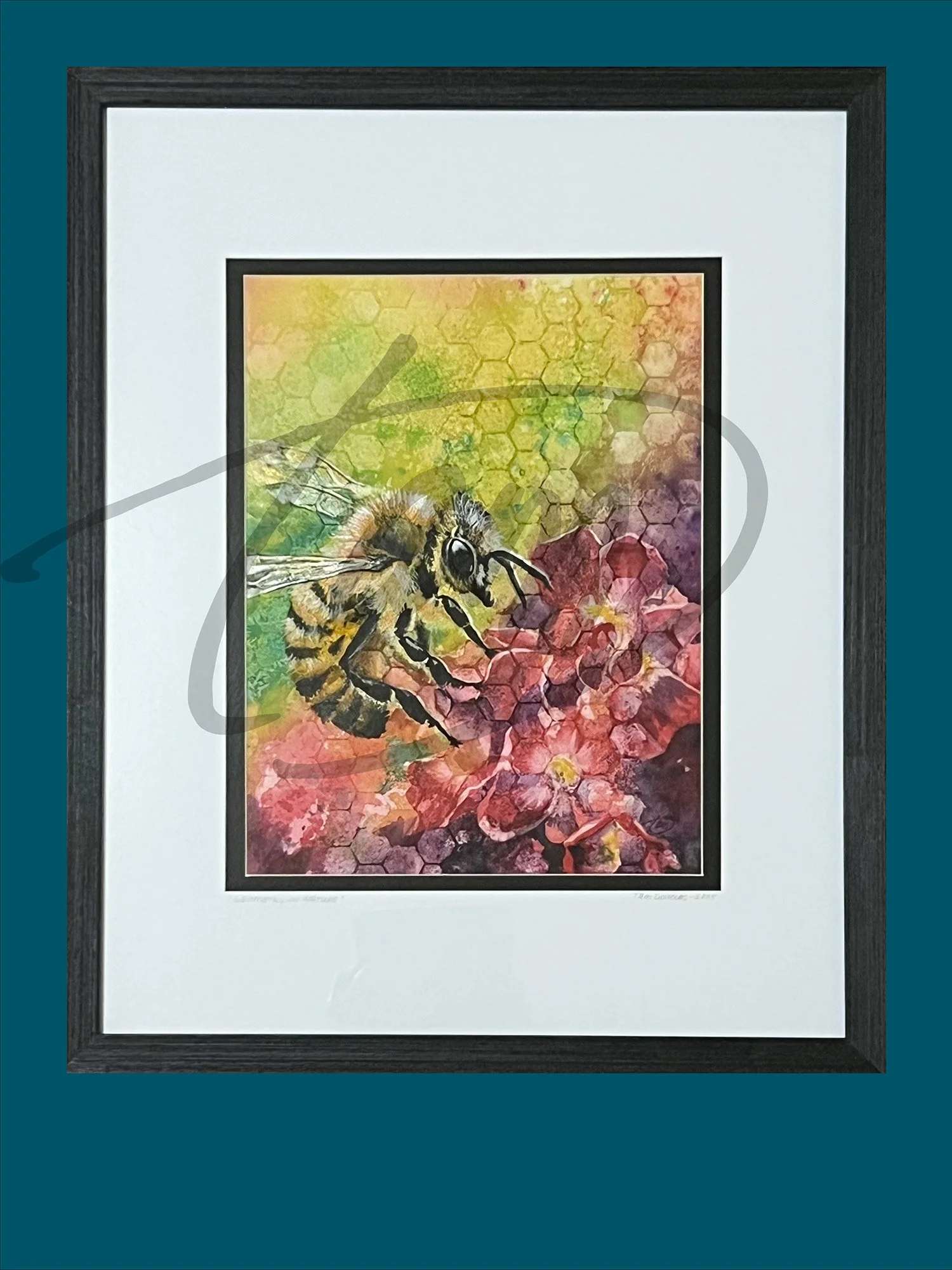 ORIGINAL: Geometry in Nature (Geometry Bee)