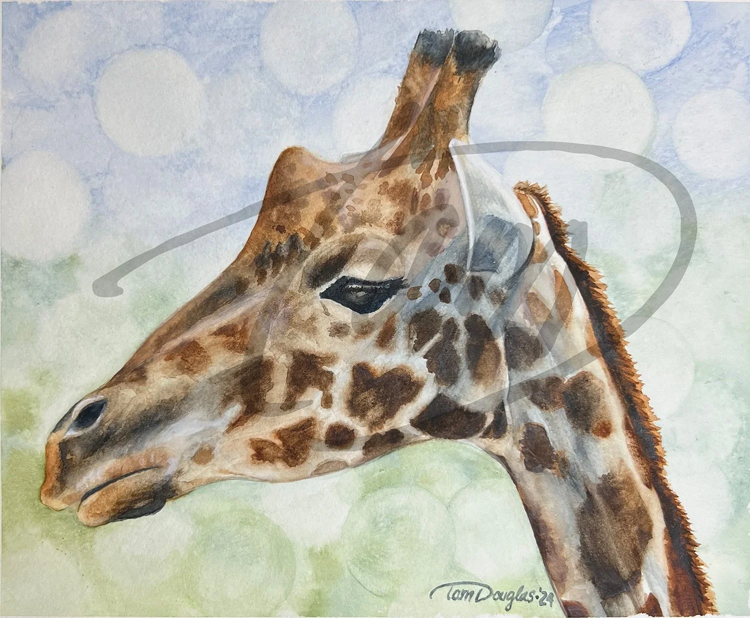    Higher-Level Thinking     – At a height where clouds pause to reconsider, a giraffe discovers that thinking improves when you take your time chewing it over. While everyone else rushes below, he lifts his problems higher and higher, until they loo