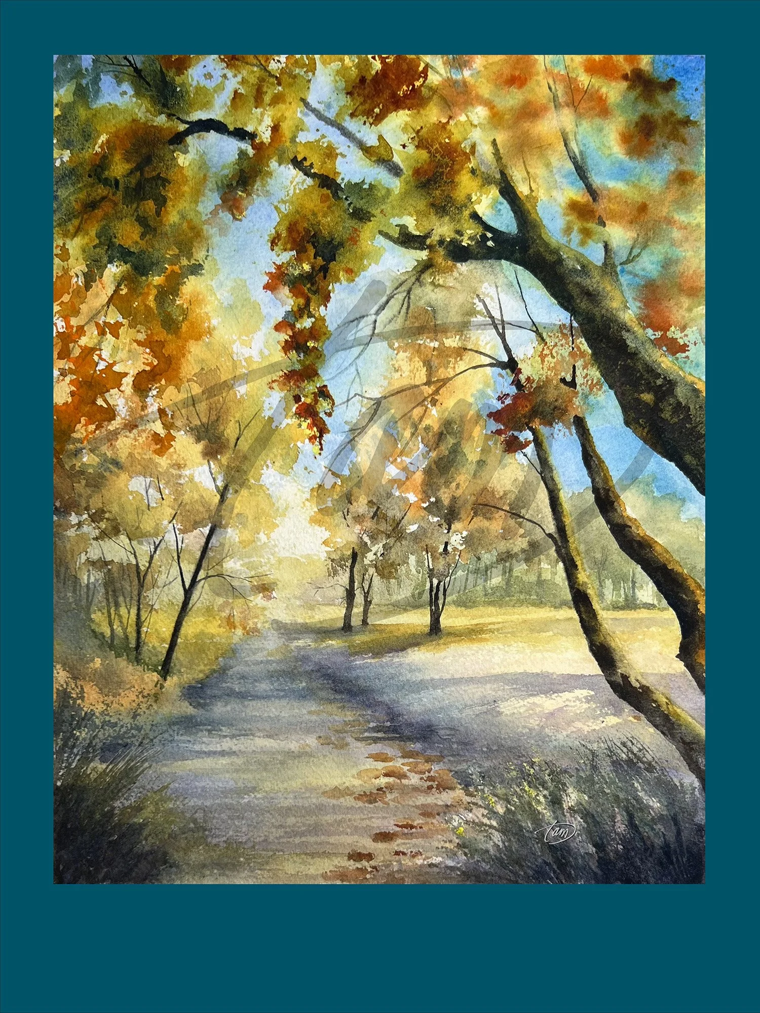 SunlitPathAboveMeadow-shop_M.jpg