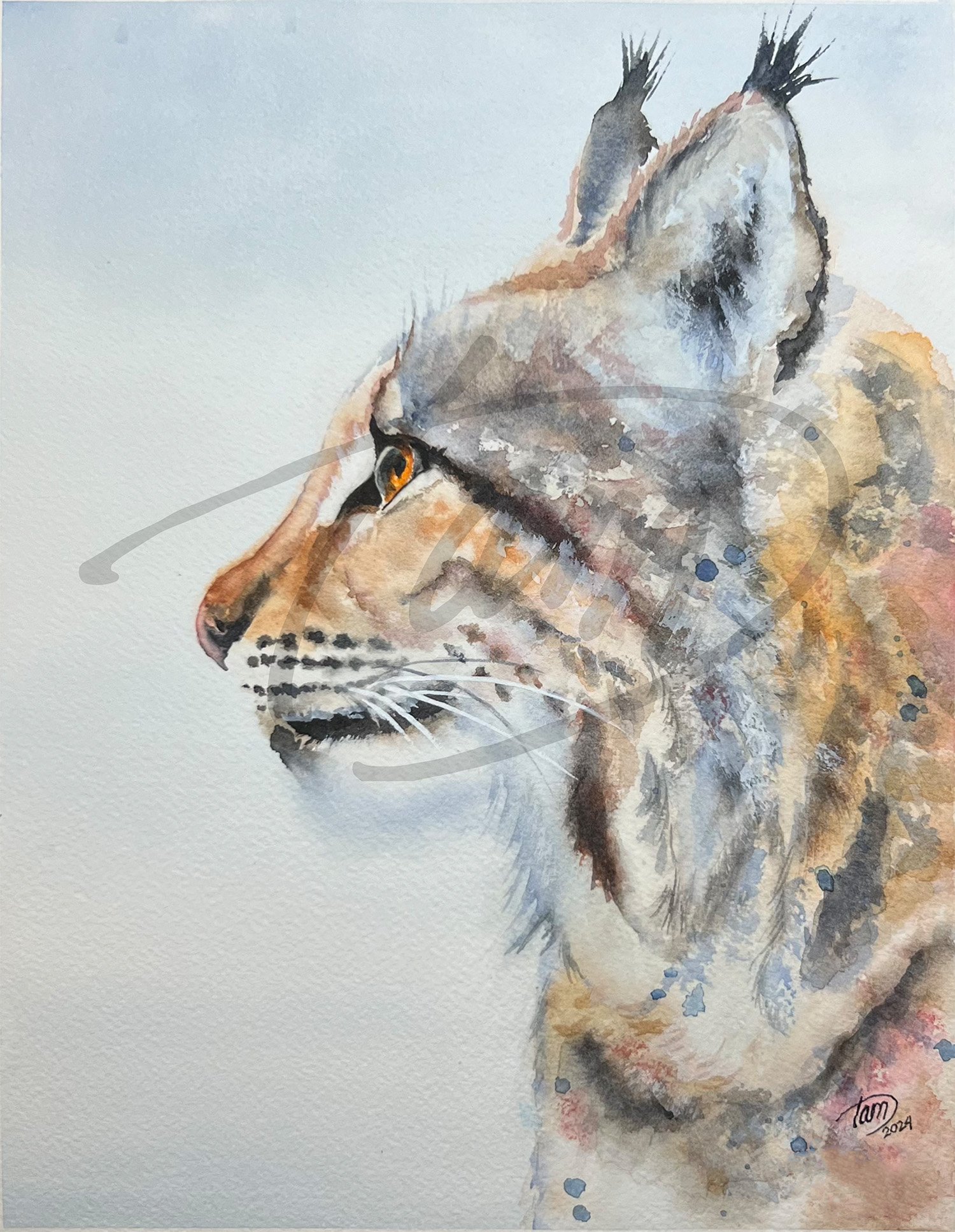    Winter Bobcat     – In the hush after the snowfall, the bobcat pauses—half-emerged from winter, half-lost to it. The world around him dissolves into white silence, time and distance softened by cold air and drifting light. Only his eye remains sha
