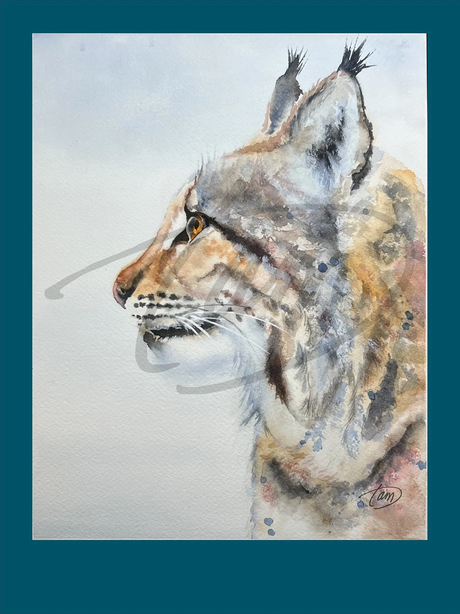 WinterBobcat-shop_M.jpg