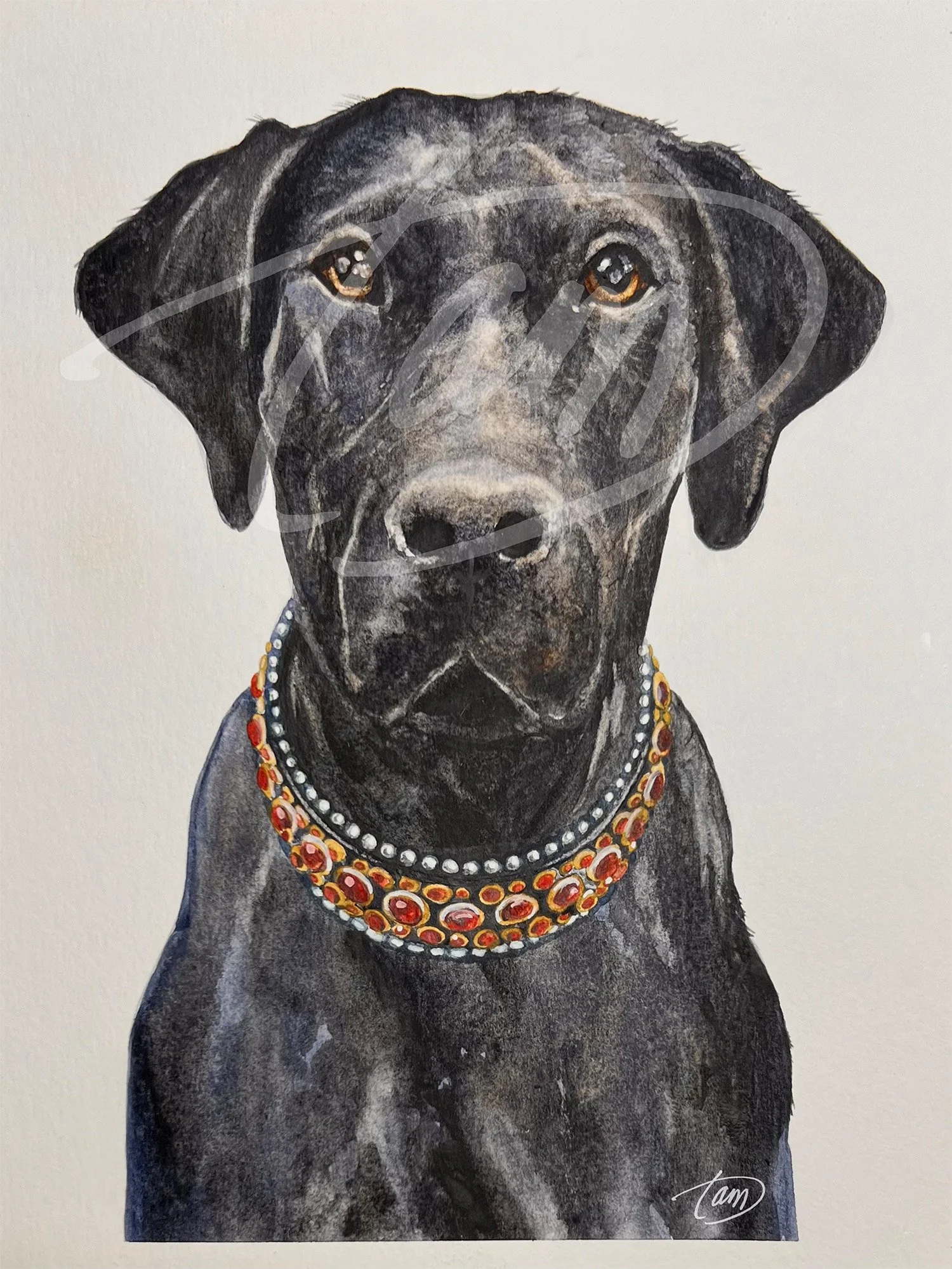    Champion of Anarchy     – This is Anarchy, in all her jacked, unapologetic glory. Dock diver, weight-puller, explosives detector—her accomplishments could fill a book. Eyes steady, a quiet sweetness surfaces in her gaze, hinting at the loyalty and