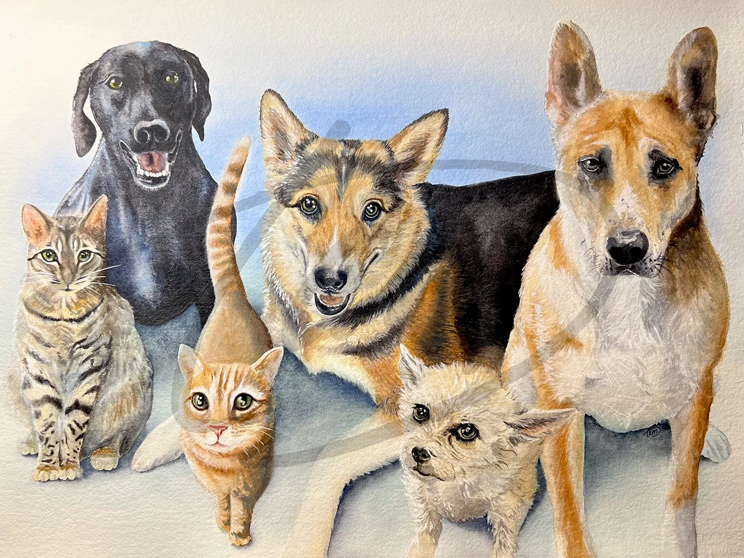    Assembled and Ready for Business     – Cats and dogs, side by side, each claiming their place in the frame. Eyes bright, ears up, tails tucked or wagging—everyone knows the rules of engagement. A formal pose, yes, but with just enough attitude to 