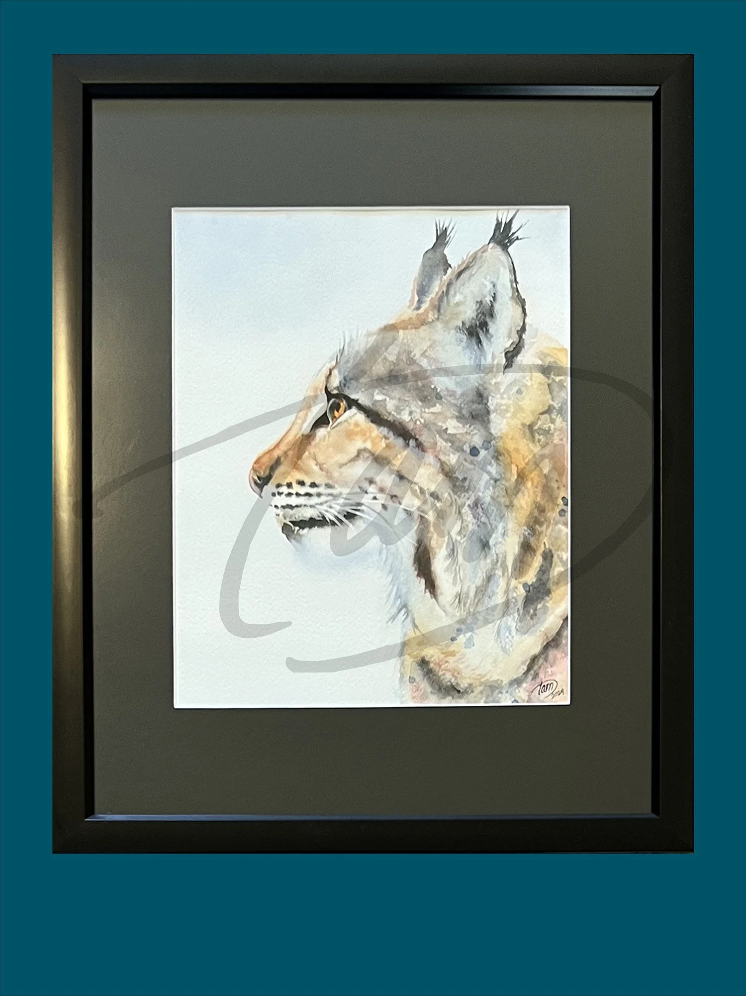 ORIGINAL: Winter Bobcat
