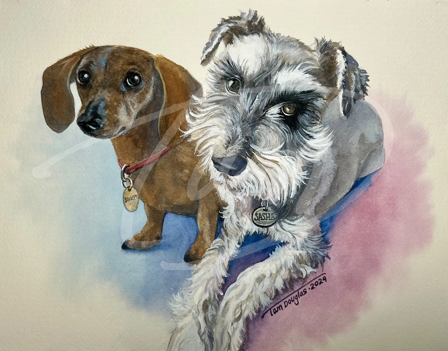    Snoopy and Sasha    sit side by side, eyes wary, sizing you up. Unlikely pals with nothing in common, but one thing is clear—they’re not sold on what’s about to happen. Alert, cautious, and just a little skeptical, they make it obvious: approach a