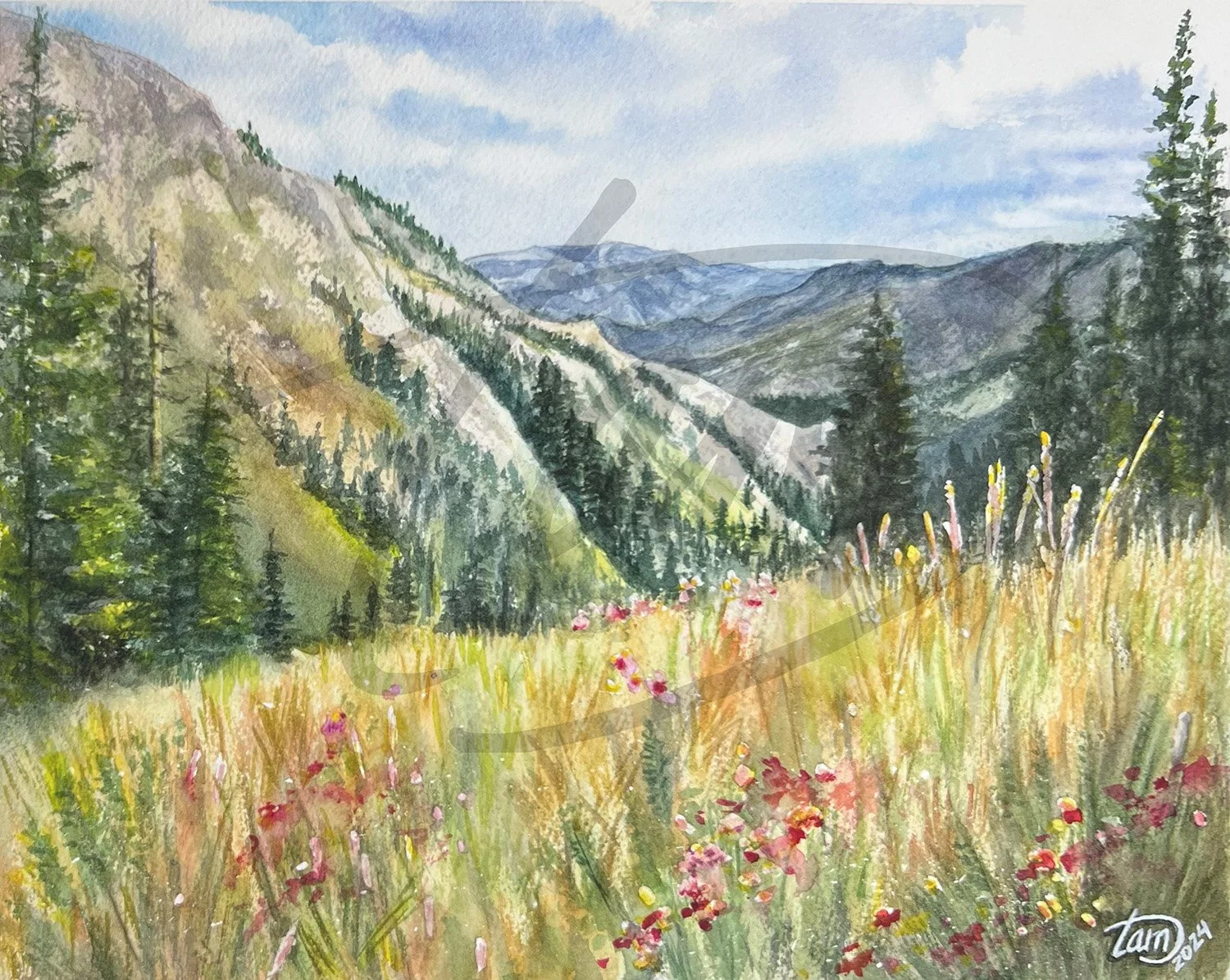   Springtime at Timberline (Powder Mountain)   comes from a summer ride up Powder Mountain, where familiar ski slopes transform under wildflowers and sun-warmed ridges. Mountains lighten as they fade into the distance. Loose and lively, the painting