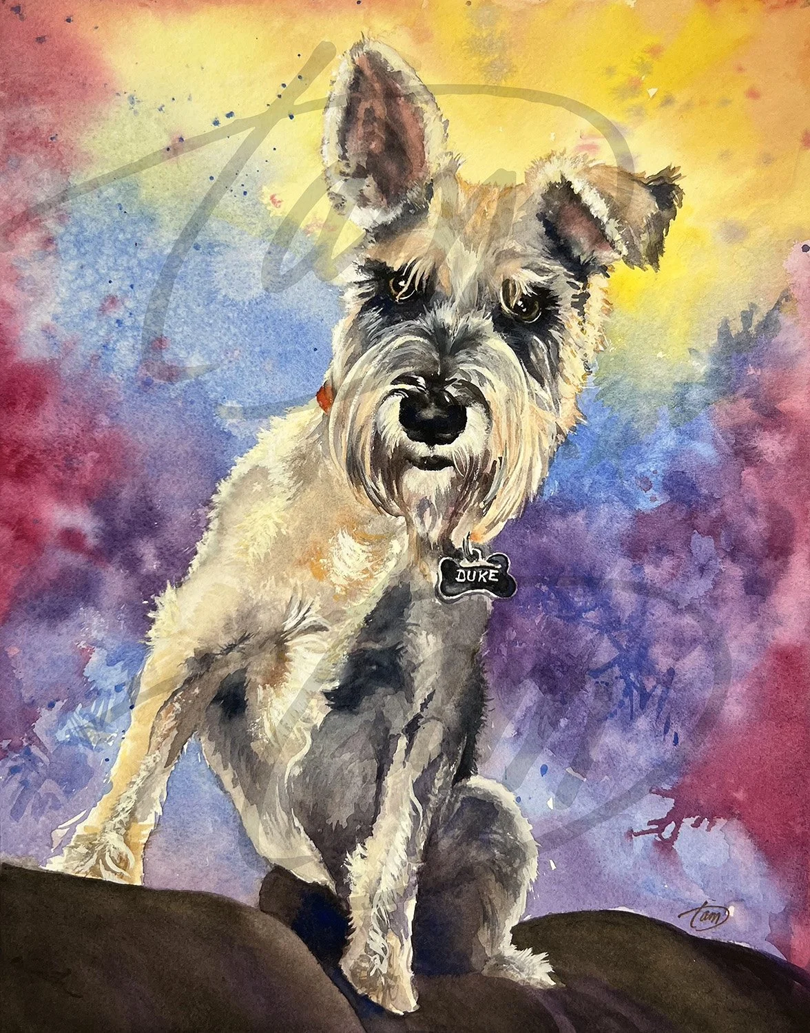    Duke the Magnificent     – Part rascal, part royalty, entirely unforgettable. Duke moves through life with the confidence of a king, the curiosity of an adventurer, and just enough mischief to keep everyone on their toes. Small in stature, enormou