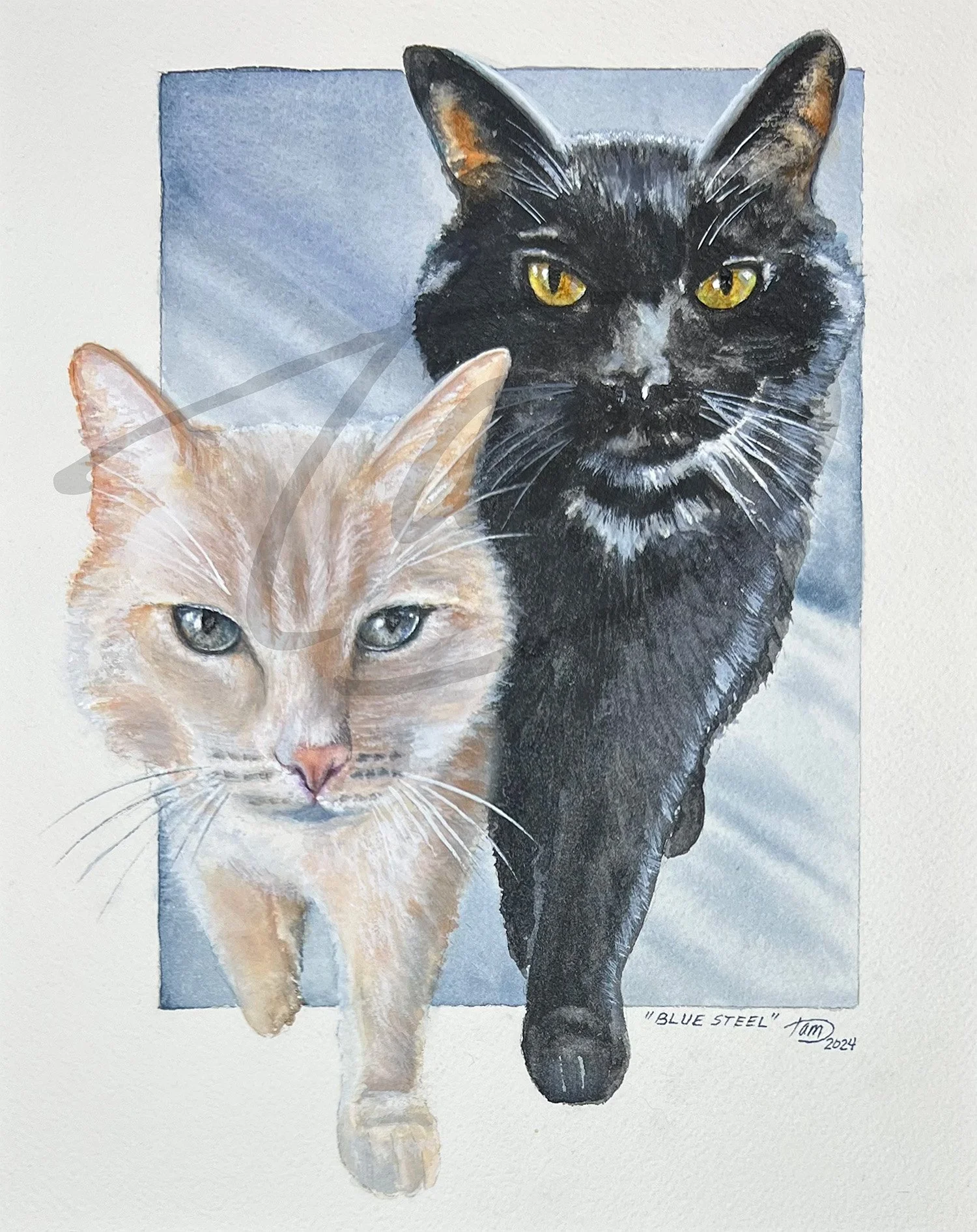    Blue Steel     – Quartz and Obsidian stride, paws in sync, swagger maxed and intensity dialed to Blue Steel—lethal enough to stop traffic. This is their runway… er… catwalk. Every step, every glance, a practiced statement: confident, cool, untouch