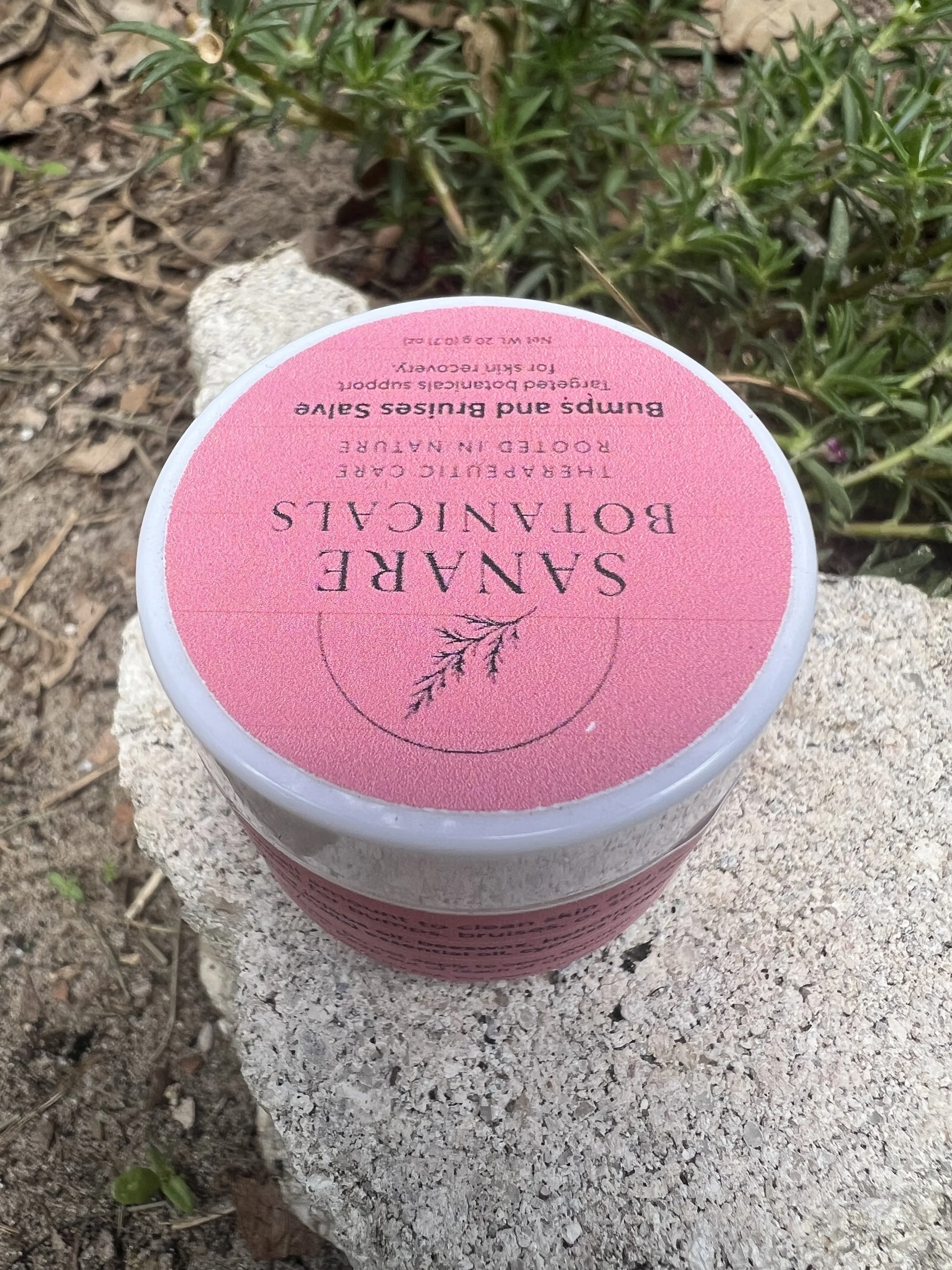 Bumps and Bruises Salve