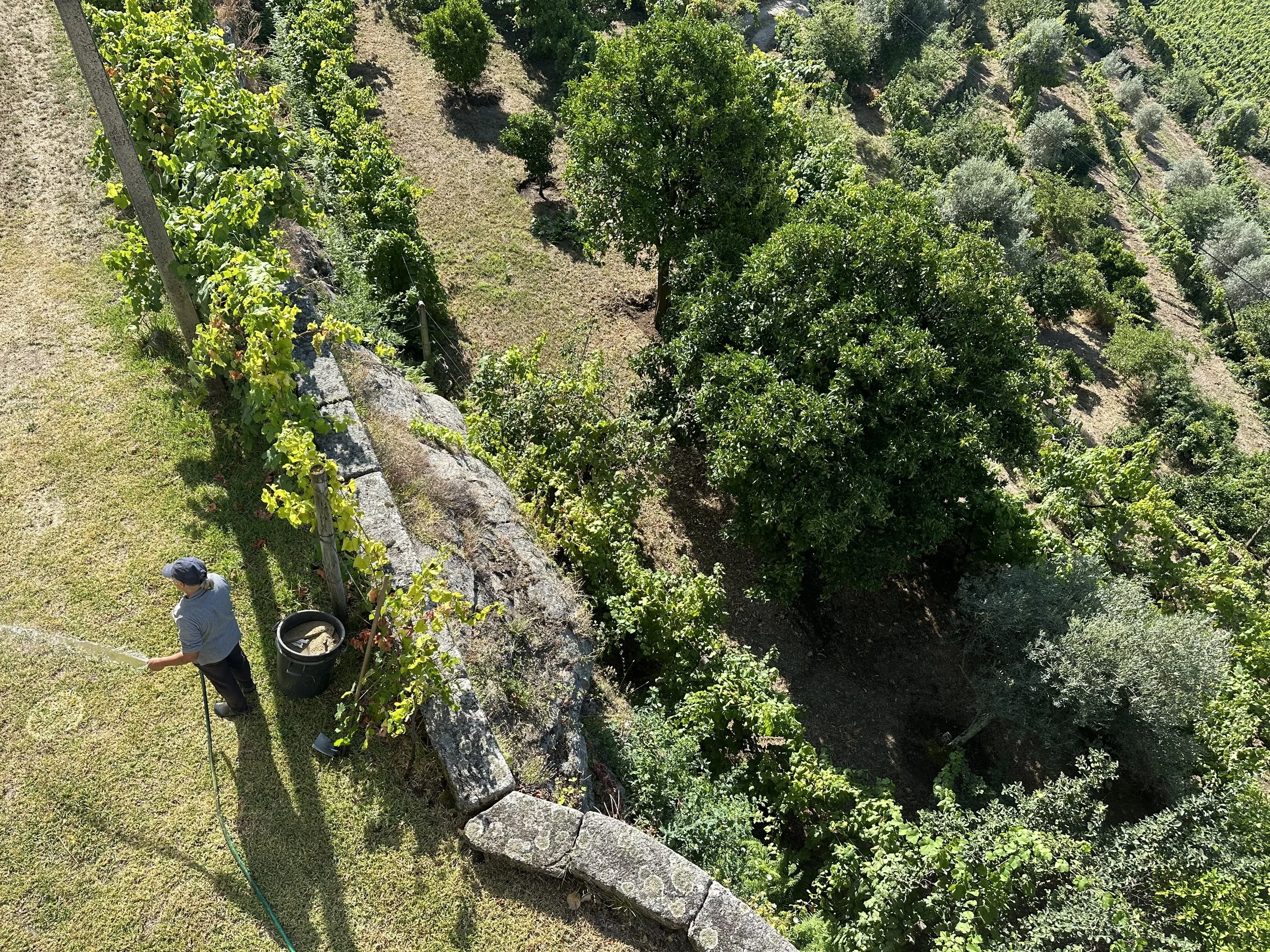 An aerial view of the gardens at Casa Belo Horizonte being hand watered.