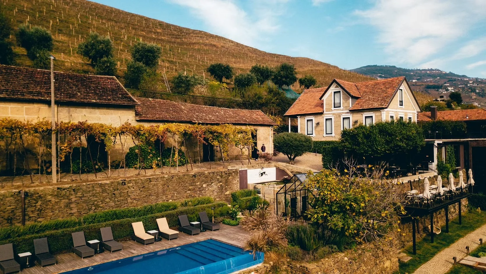 Vineyards and river-facing hillside at Quinta de S. Bernardo winery near Casa Belo Horizonte.