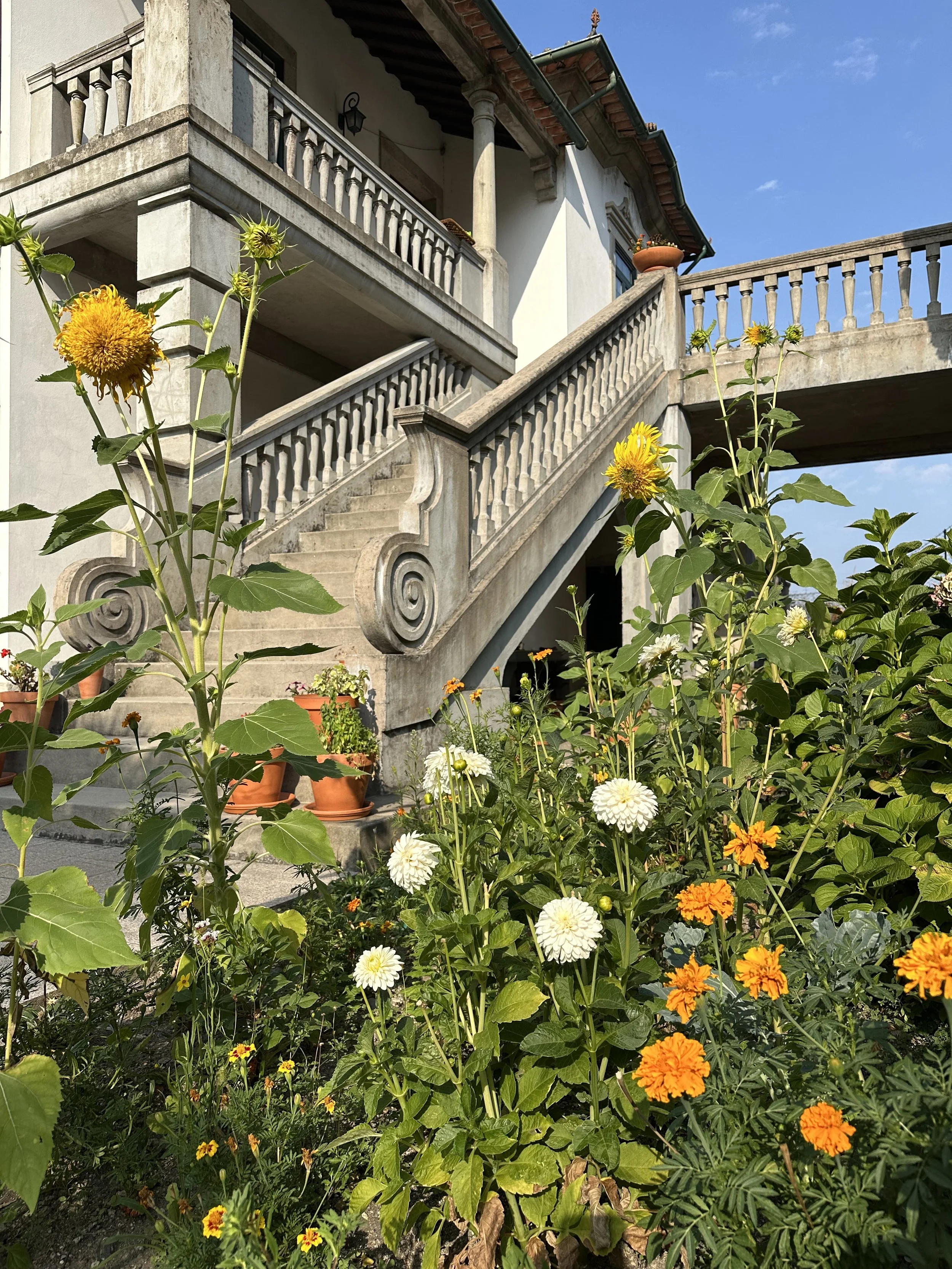 The front exterior of Casa Belo Horizonte in summer with flowering garden beds