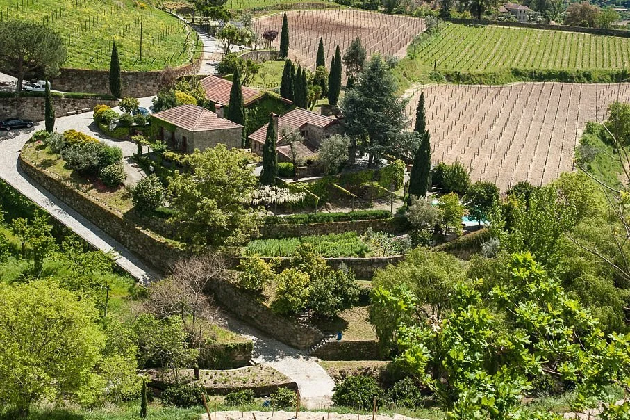 Vineyards and hillside landscape at Quinta Covela winery near Casa Belo Horizonte.