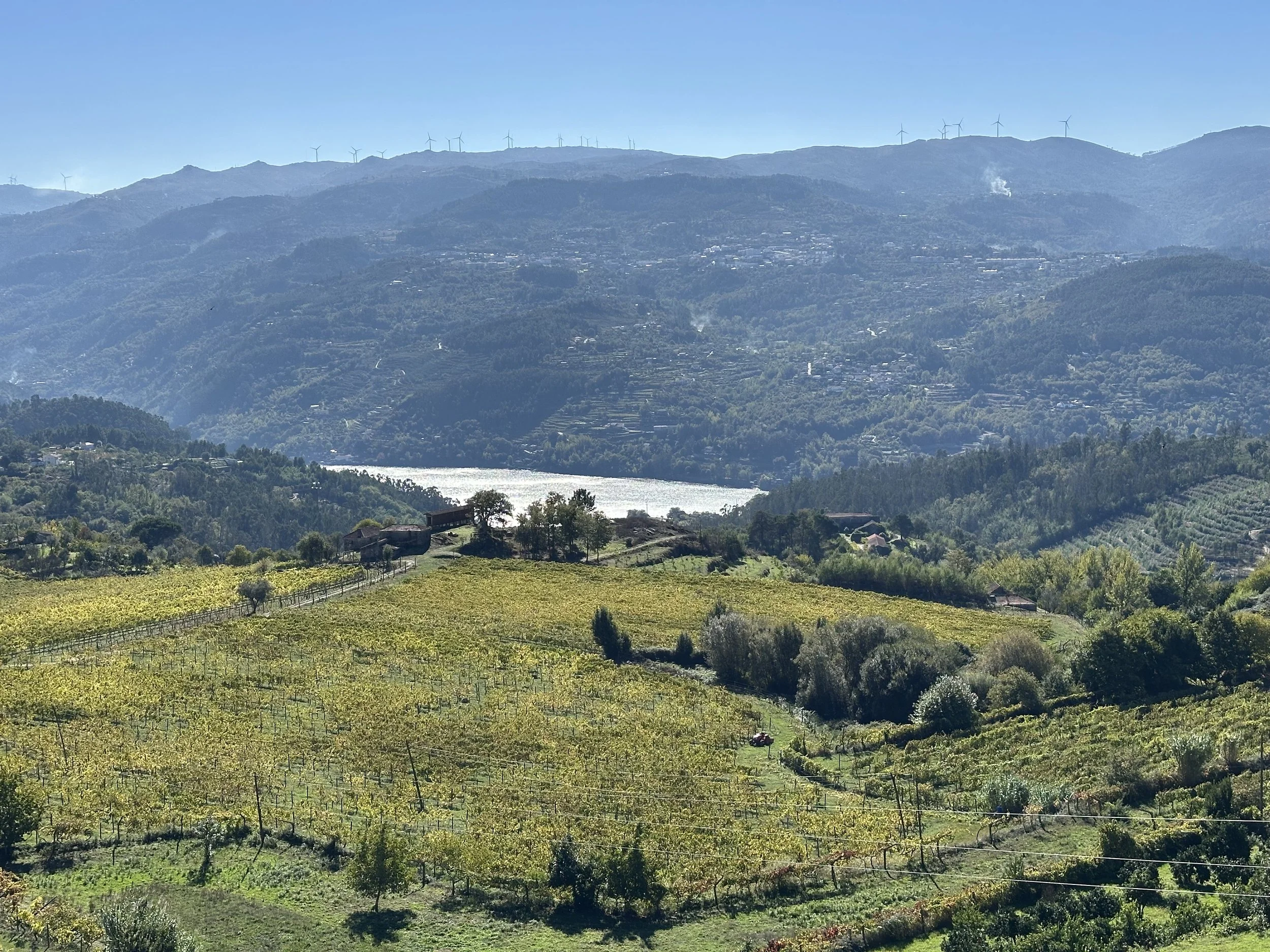 A glittering view of the Douro River seen from Casa Belo Horizonte.