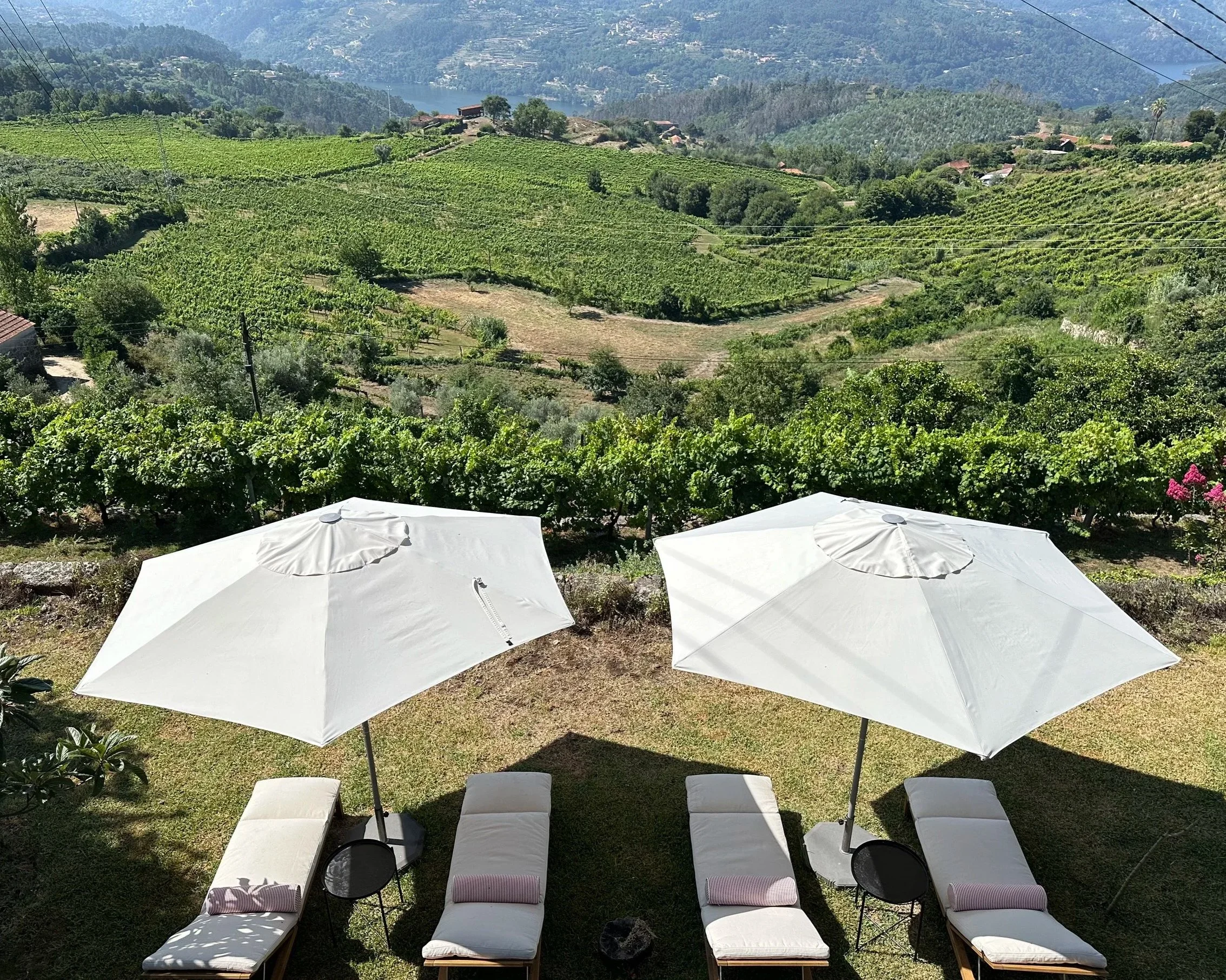 Four chaise lounges overlook the Douro River and terraced vineyards beside Casa Belo Horizonte