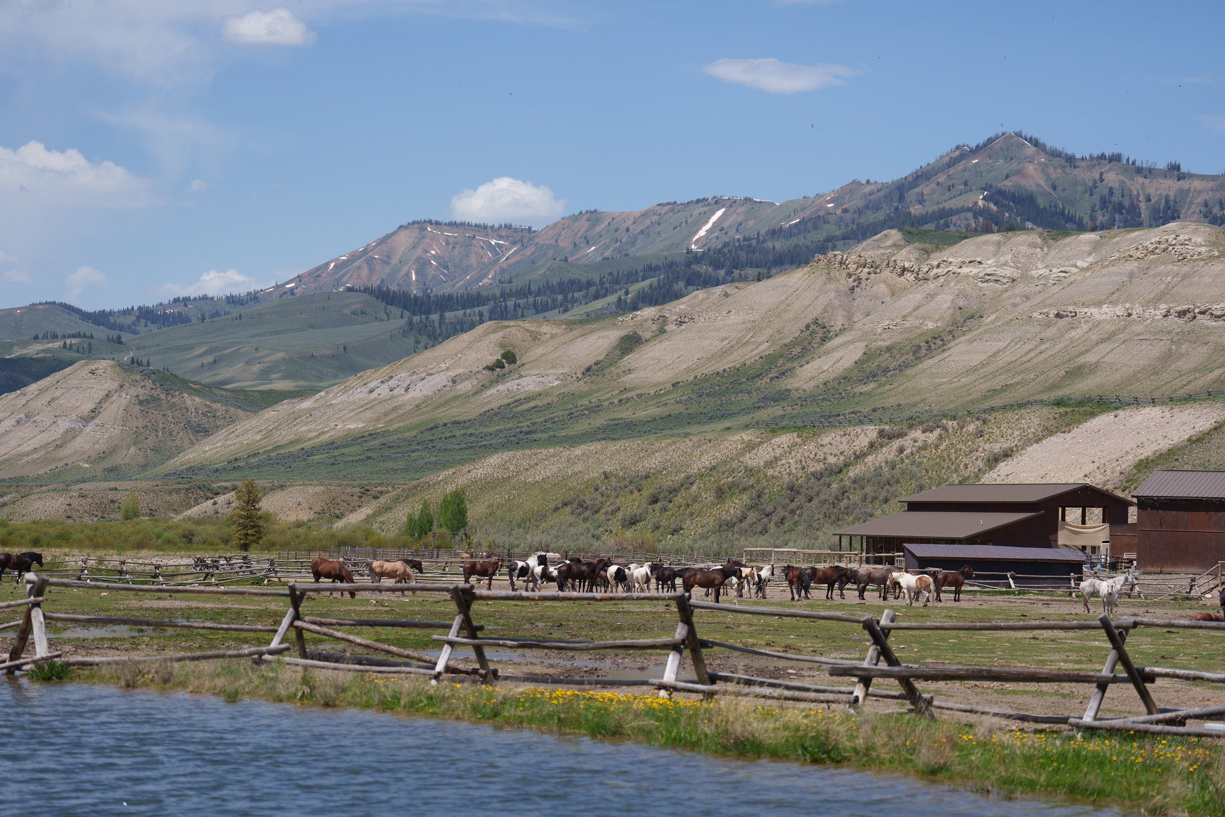 Camp Recoil GooseWing-22.jpg