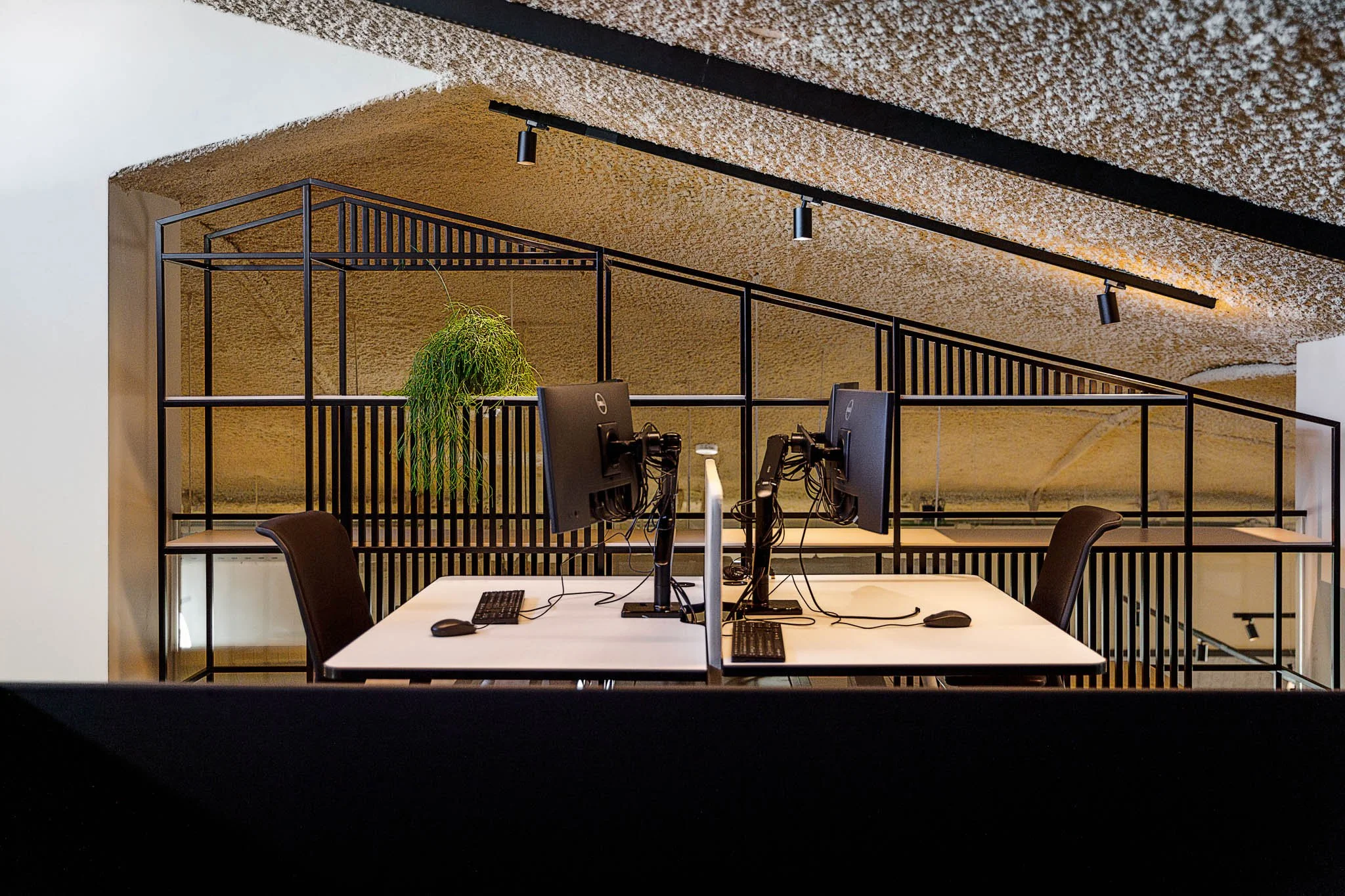 Escritório com duas estações de trabalho com monitores, teclado e mouse, separadas por uma divisória, e uma planta no fundo.