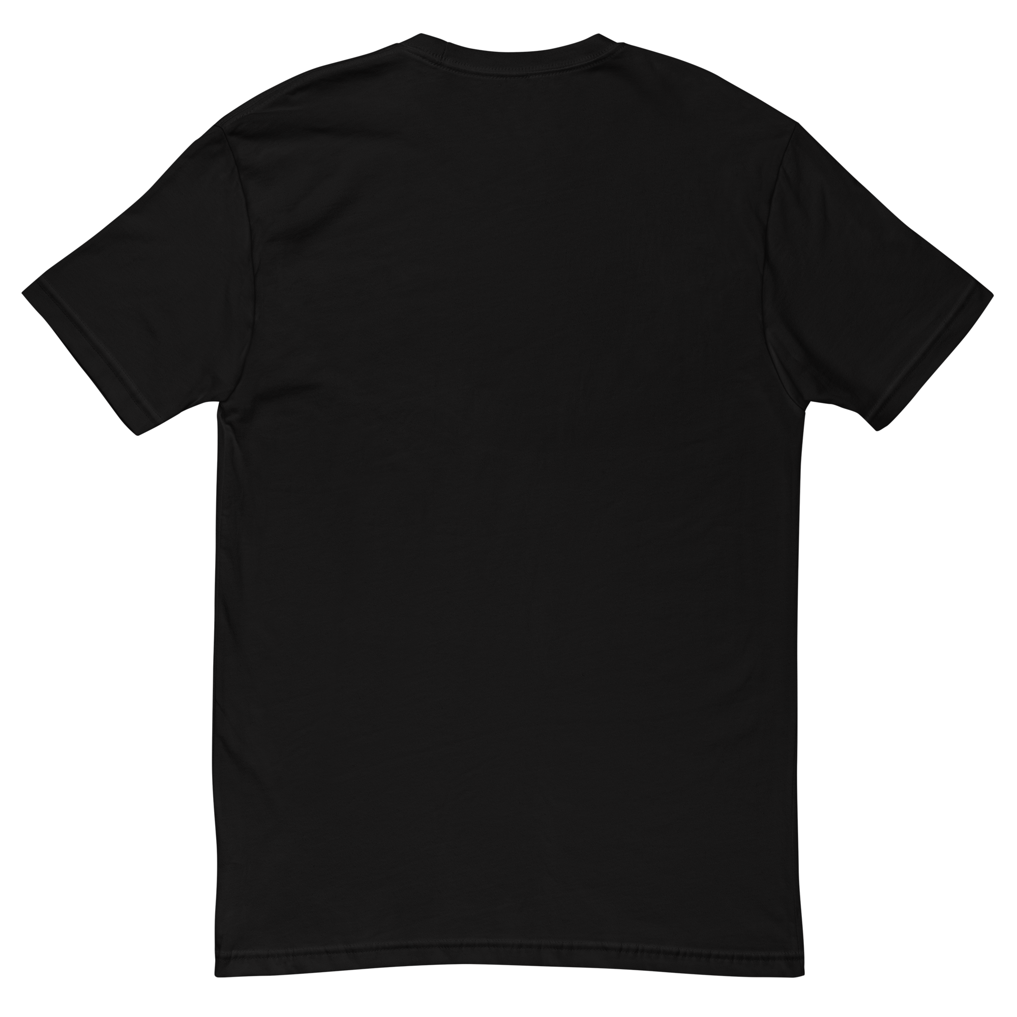 mens-fitted-t-shirt-black-back-69d1339e837c8.png