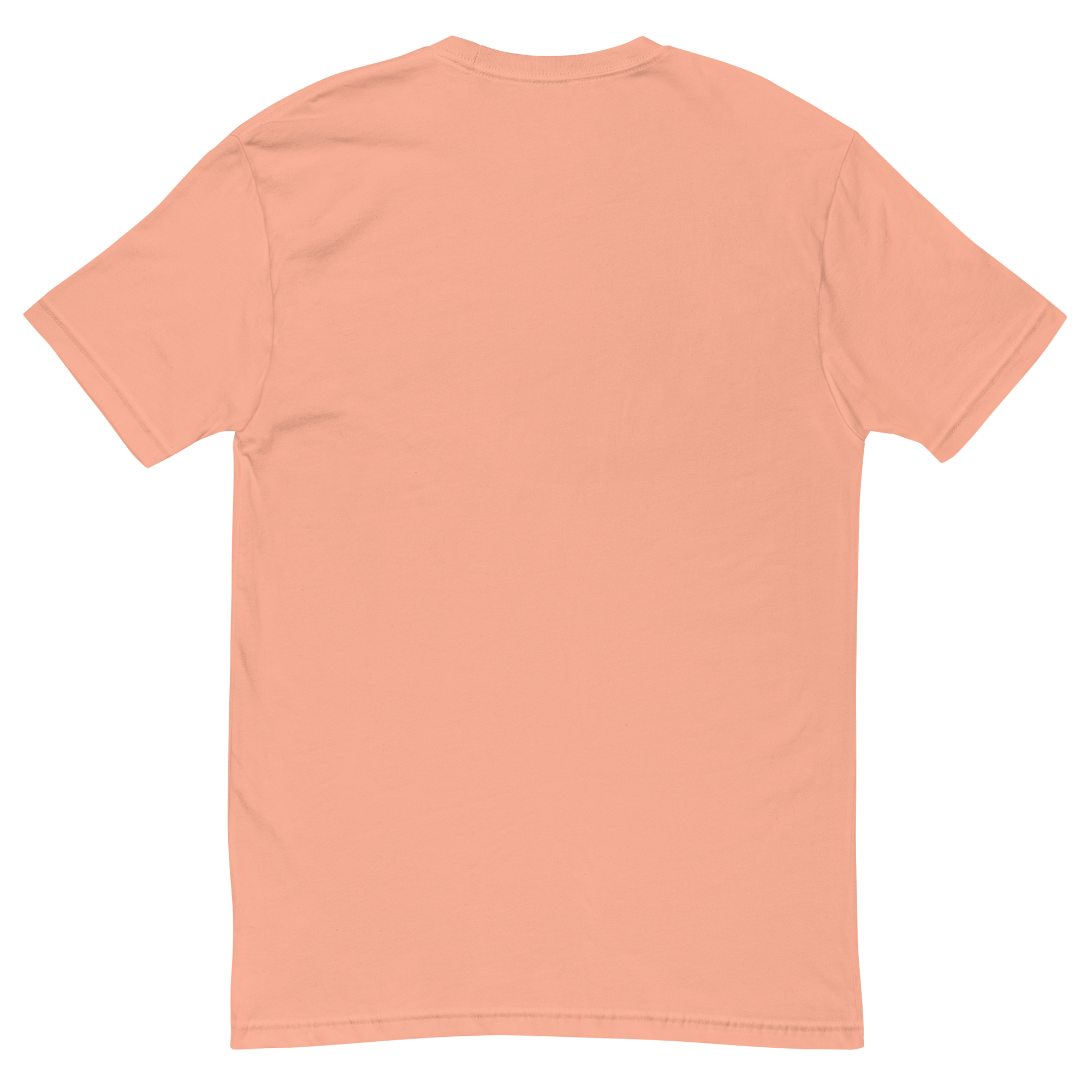mens-fitted-t-shirt-desert-pink-back-69d1339e99356.png