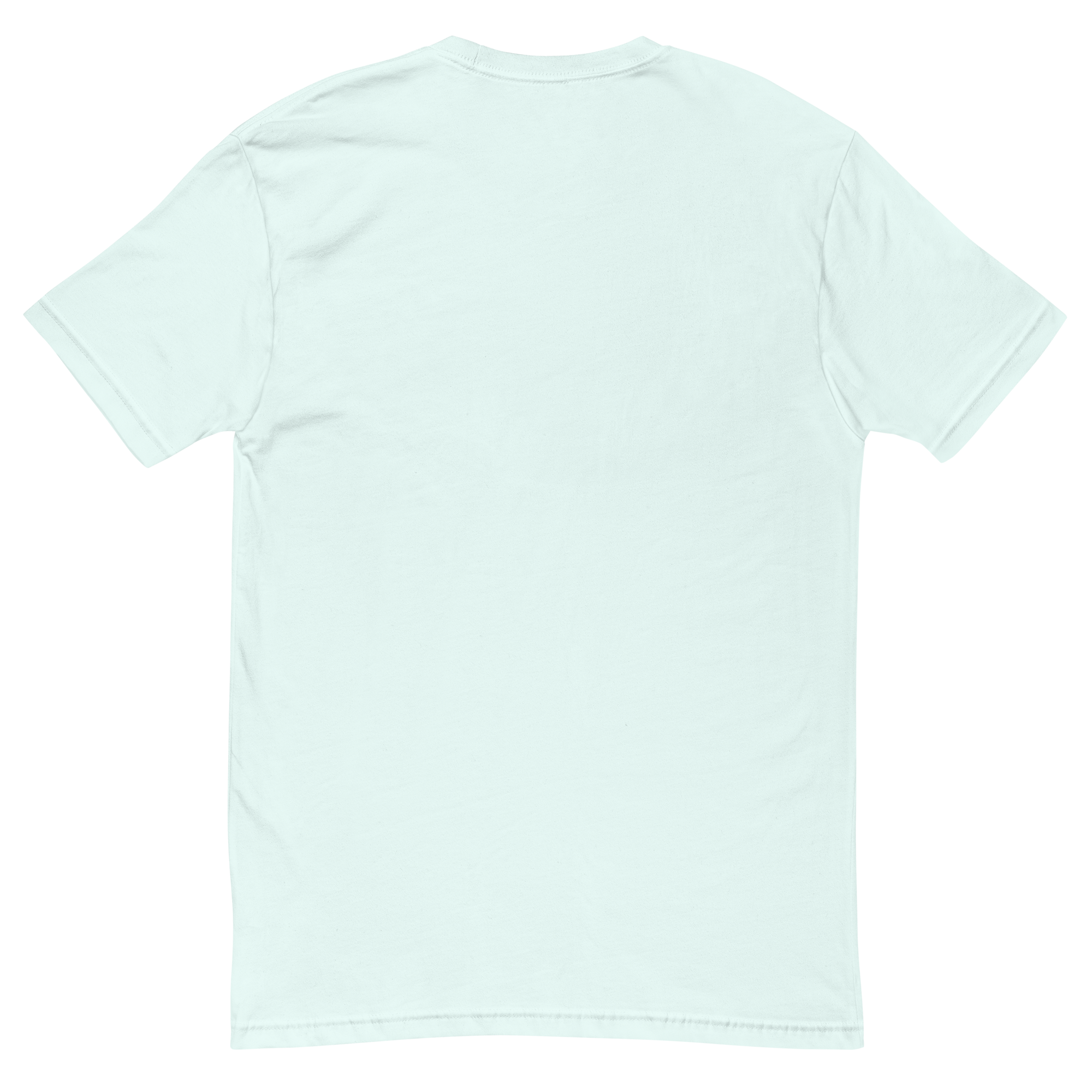 mens-fitted-t-shirt-light-blue-back-69d1339ea152d.png