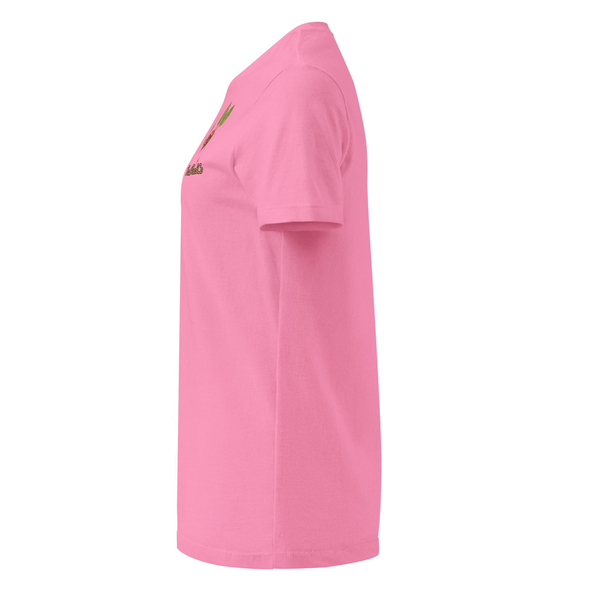 womens-basic-softstyle-t-shirt-azalea-left-69d148648ce3b.png